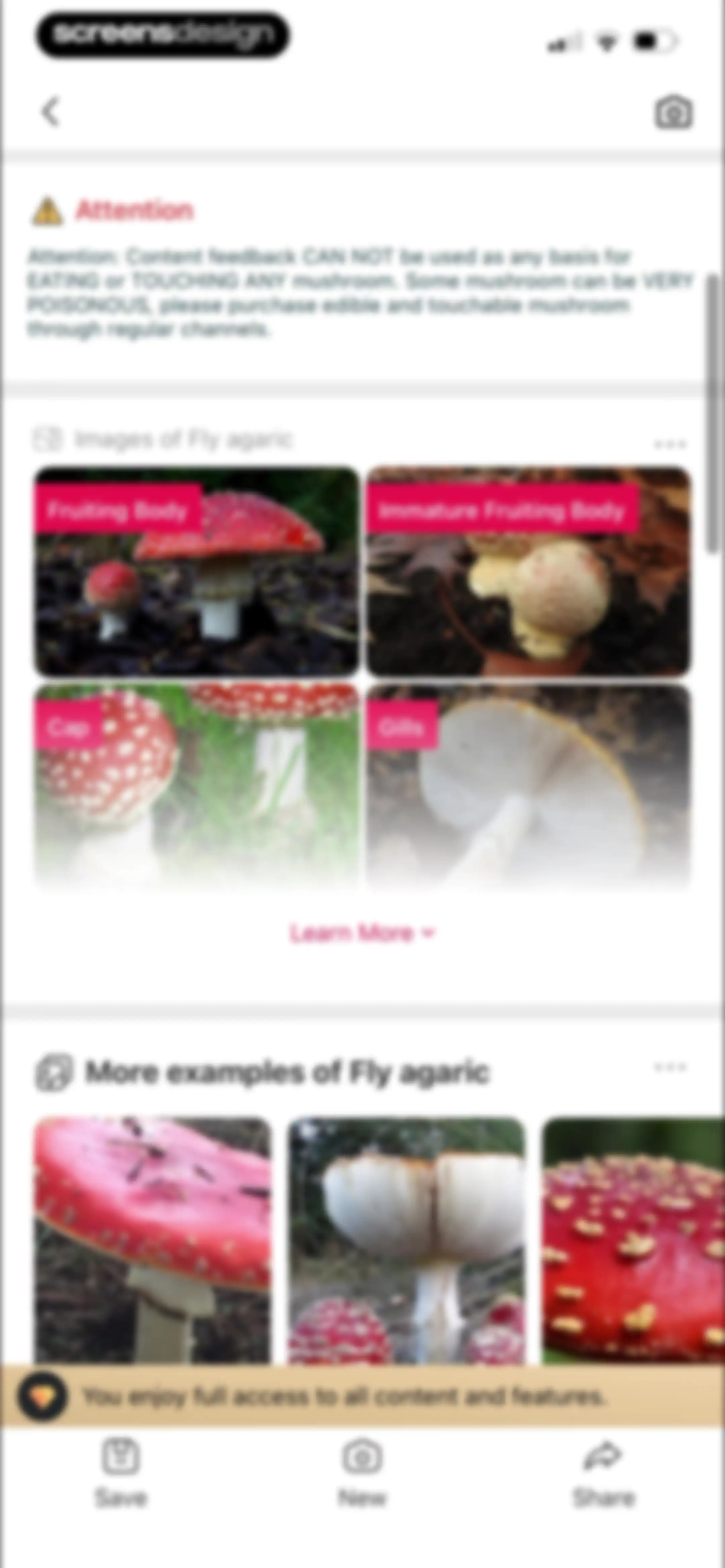 Picture Mushroom: Identifier screen 33