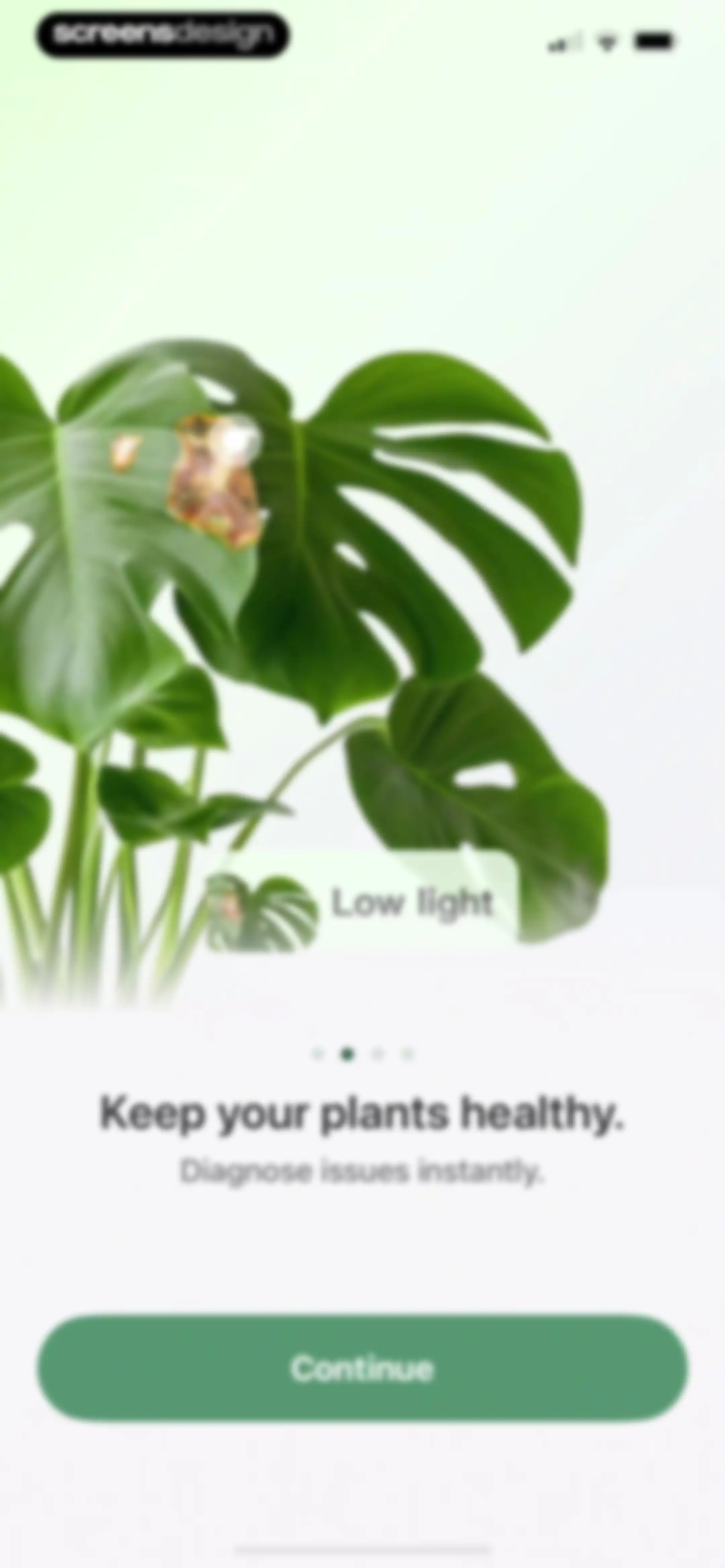 Verde Finder : identify plants screen 4