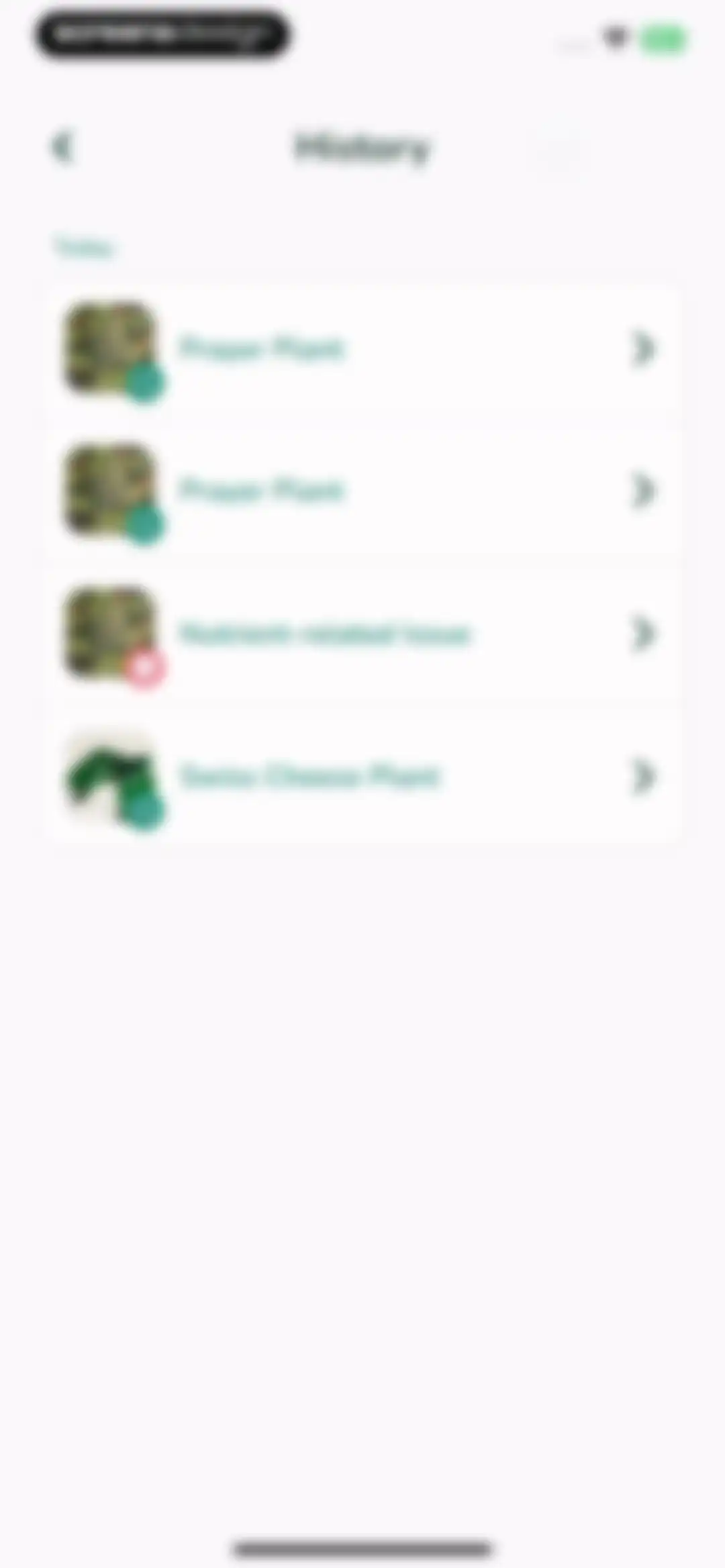 Plantify: AI Plant Identifier screen 55