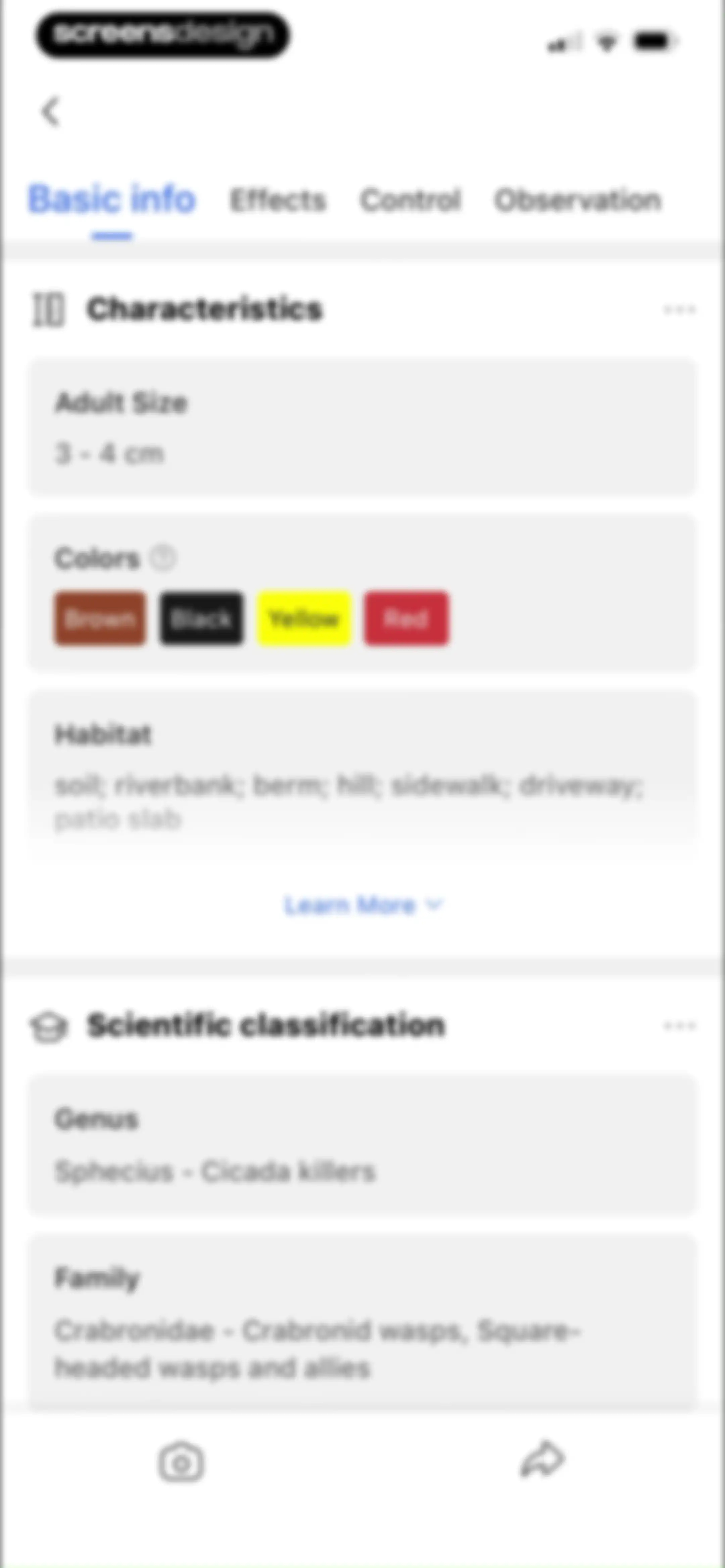 Picture Insect: Bug Identifier screen 42