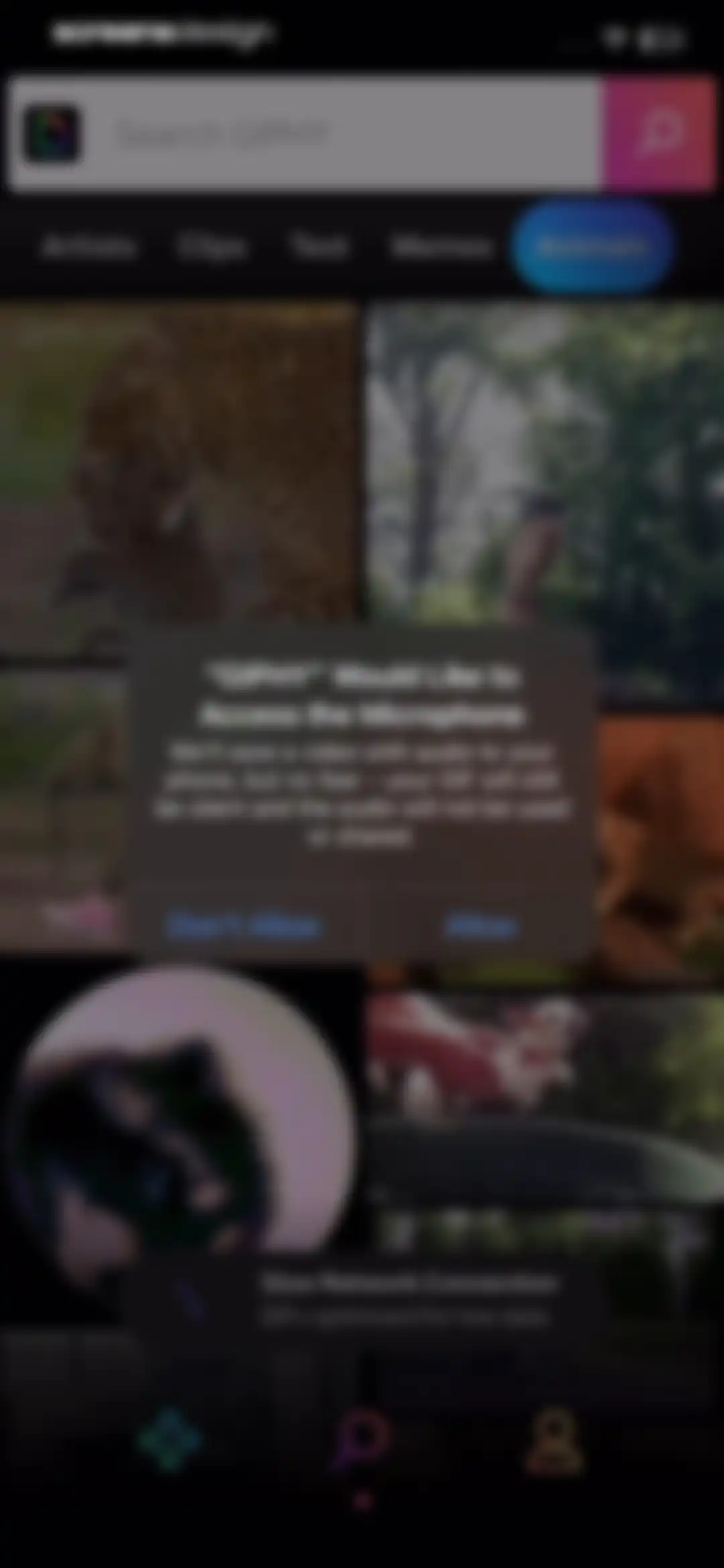 GIPHY: The GIF Search Engine screen 62