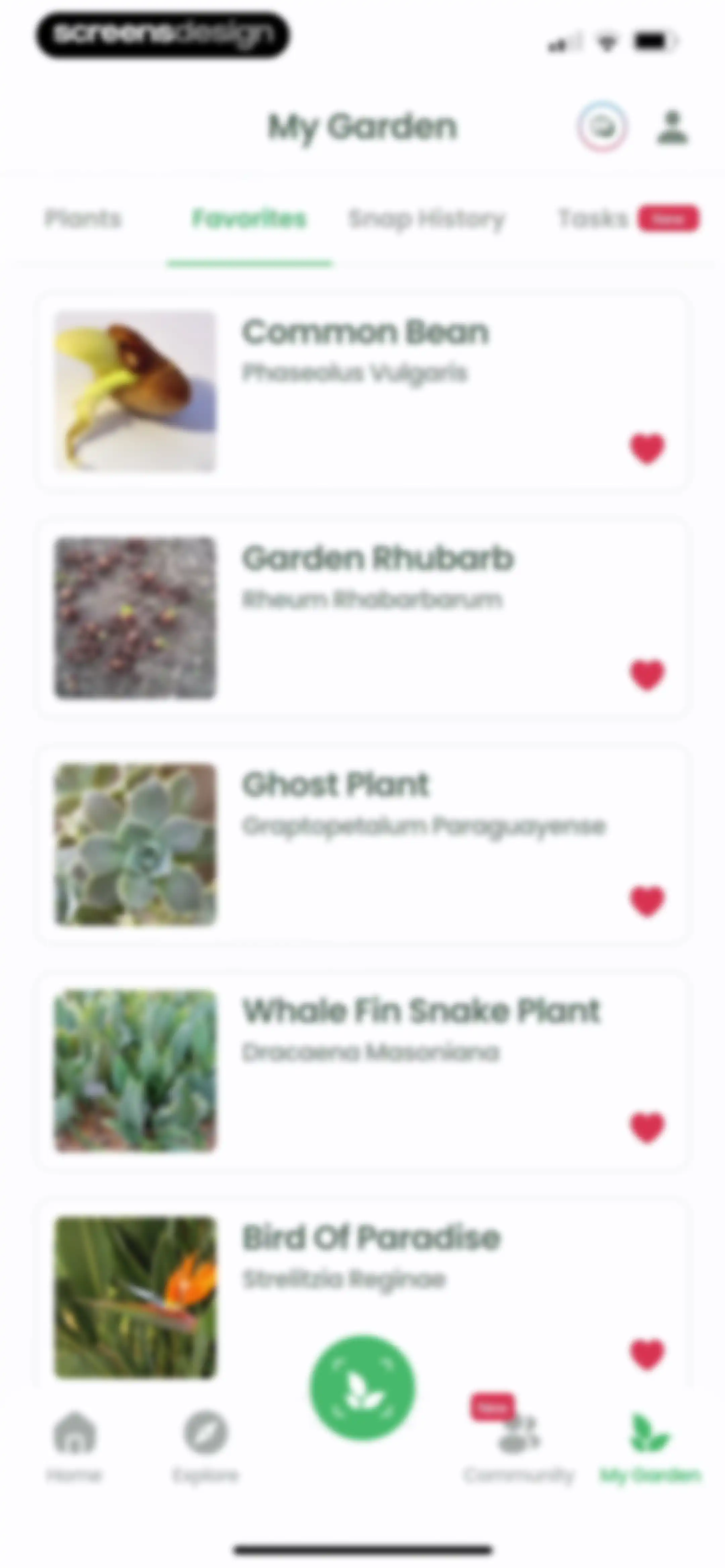 Plant Identifier: Plantiary screen 131