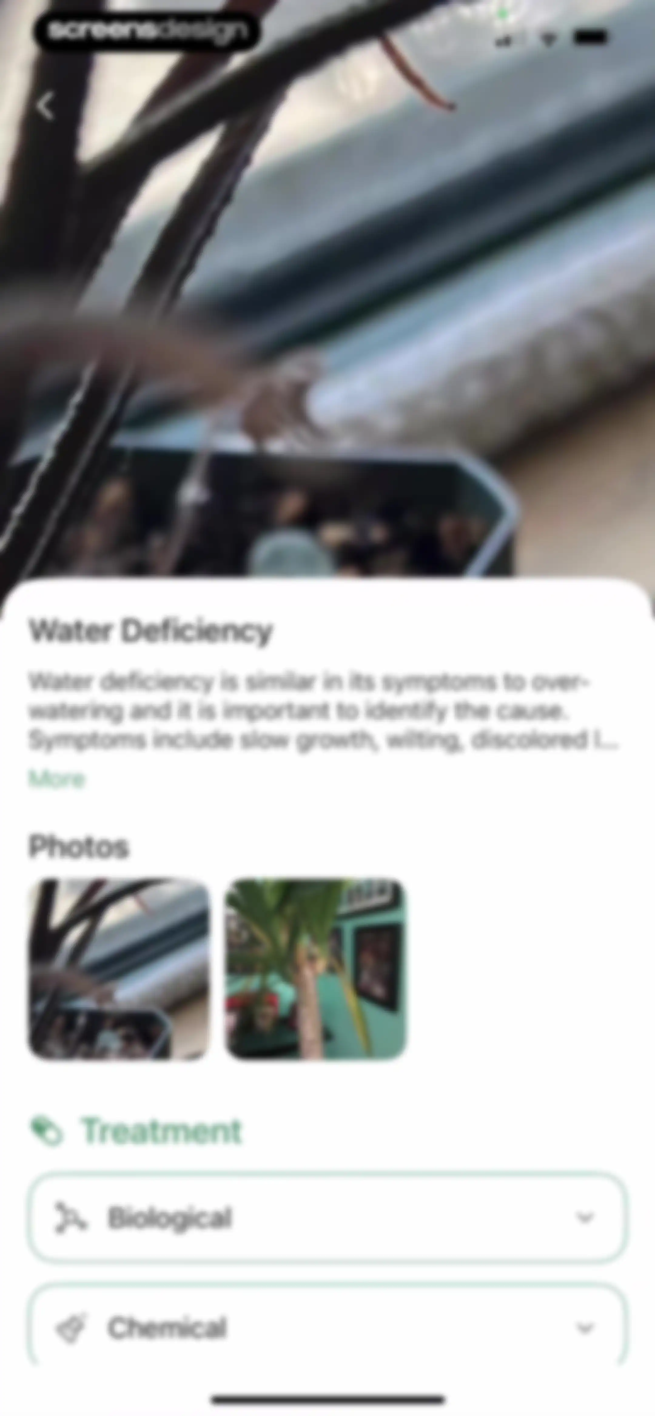 Verde Finder : identify plants screen 53