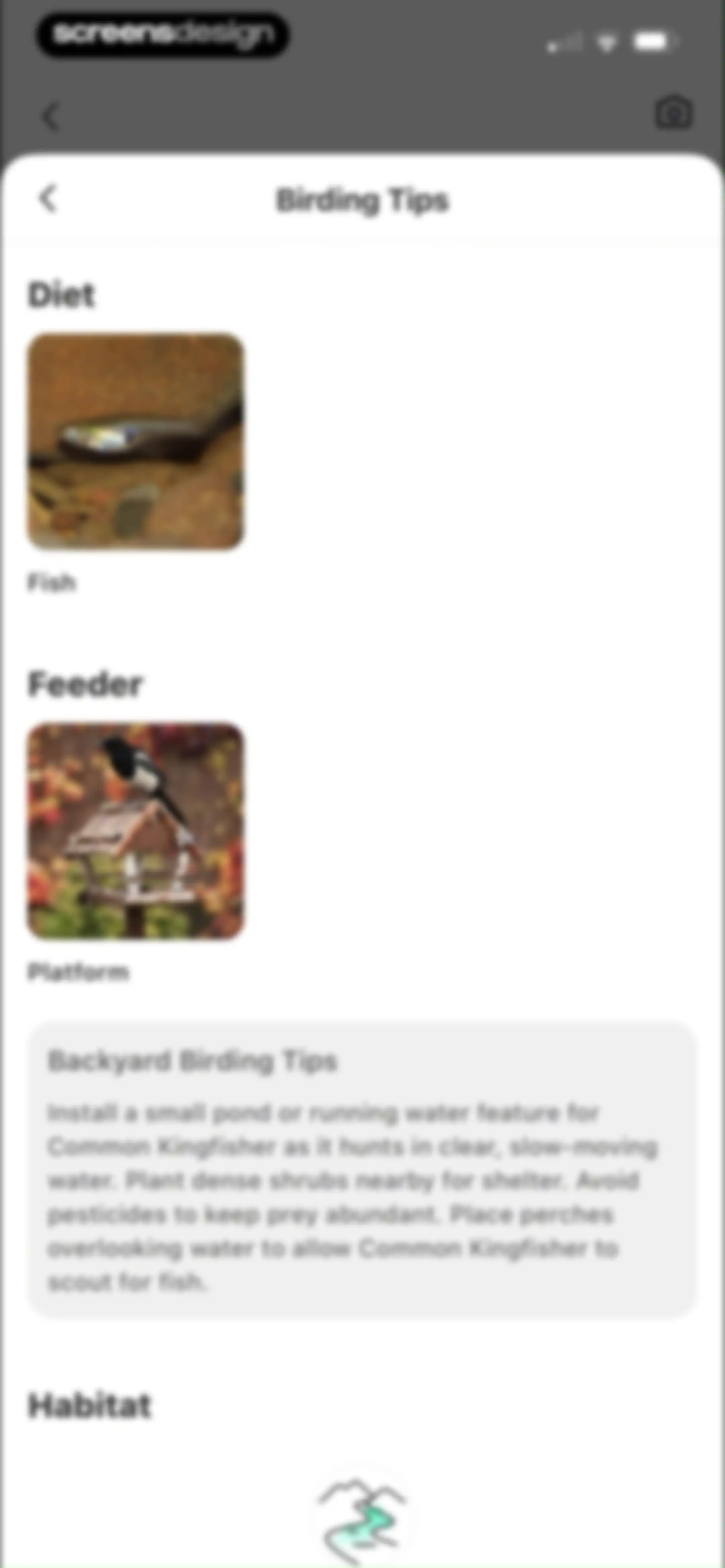 Picture Bird: Bird identifier screen 36