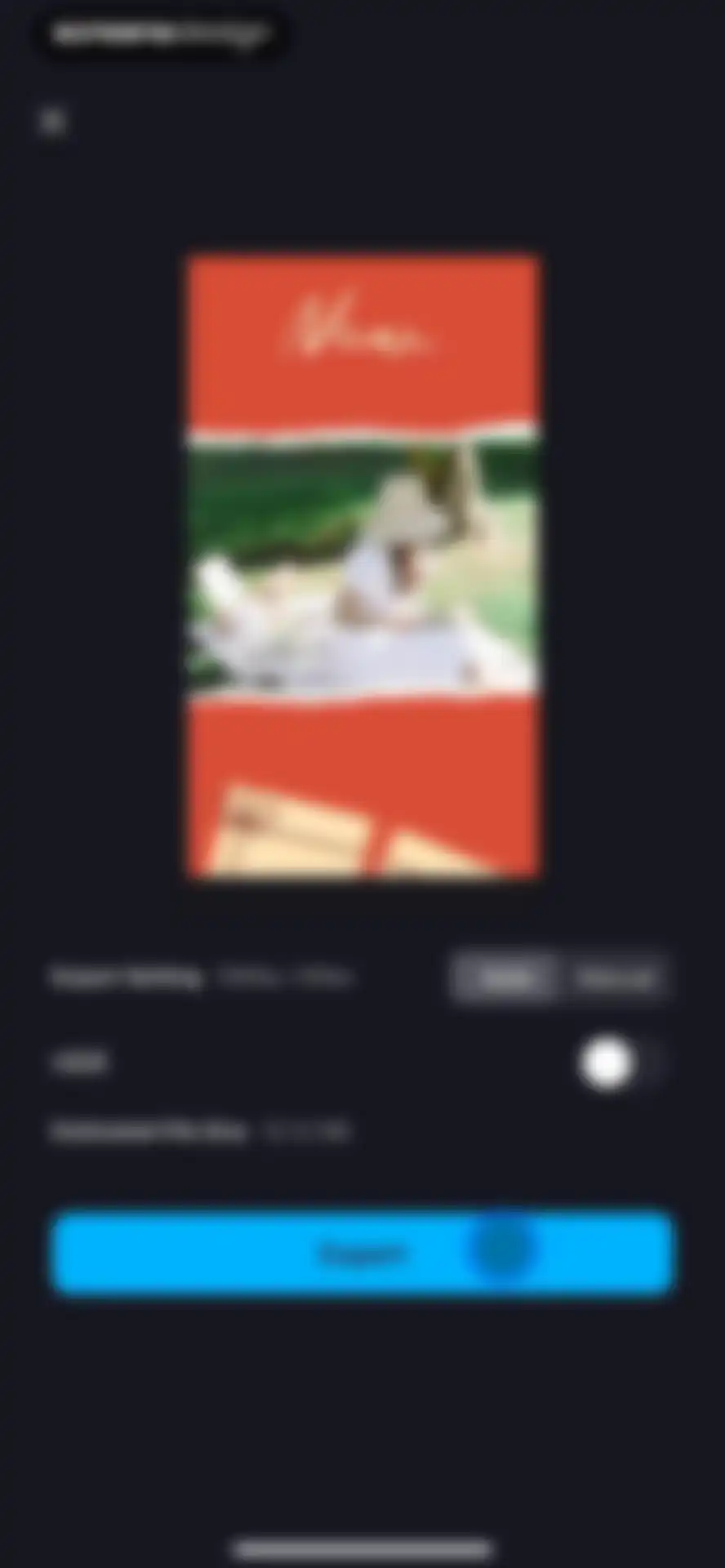 VN: Photo & Video Editor screen 13
