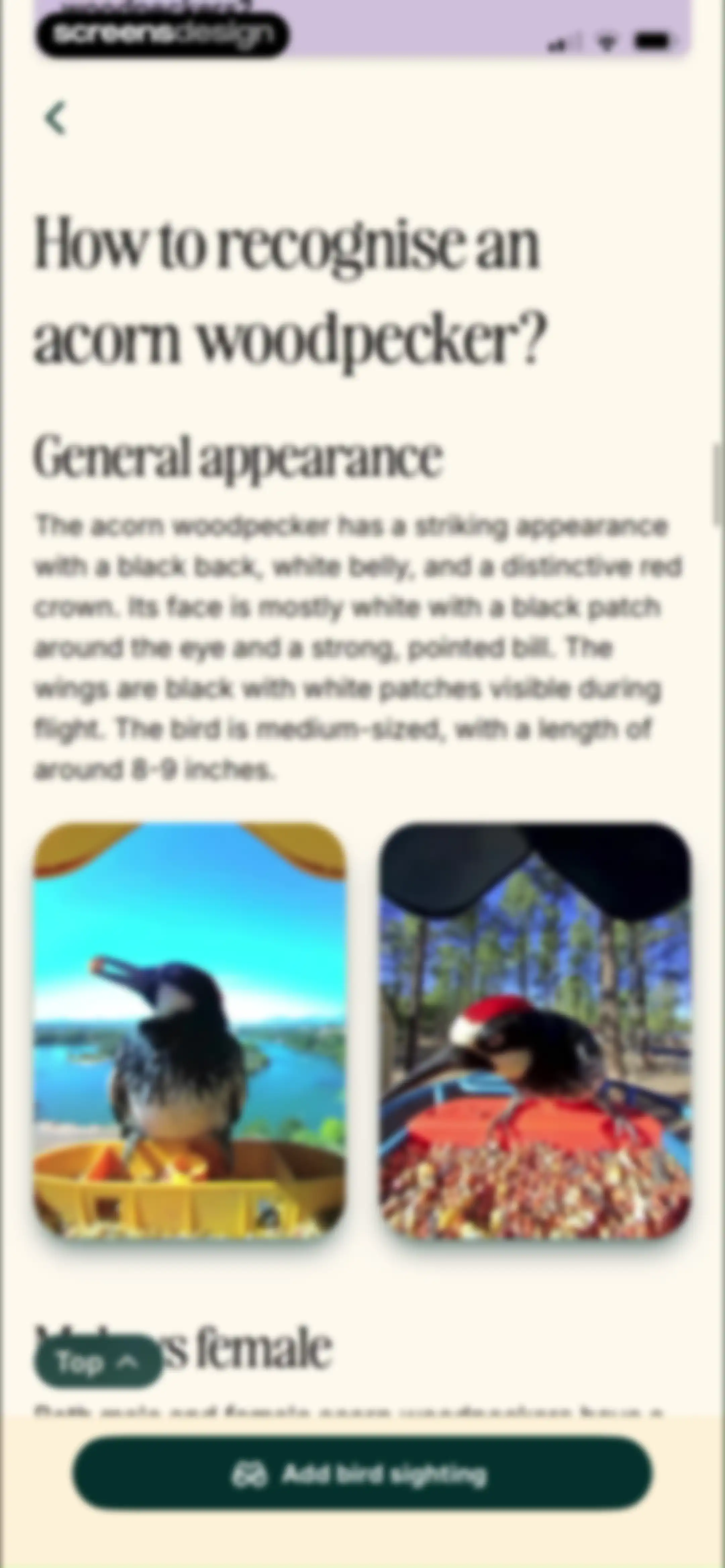 Birdbuddy: ID & Collect Birds screen 57
