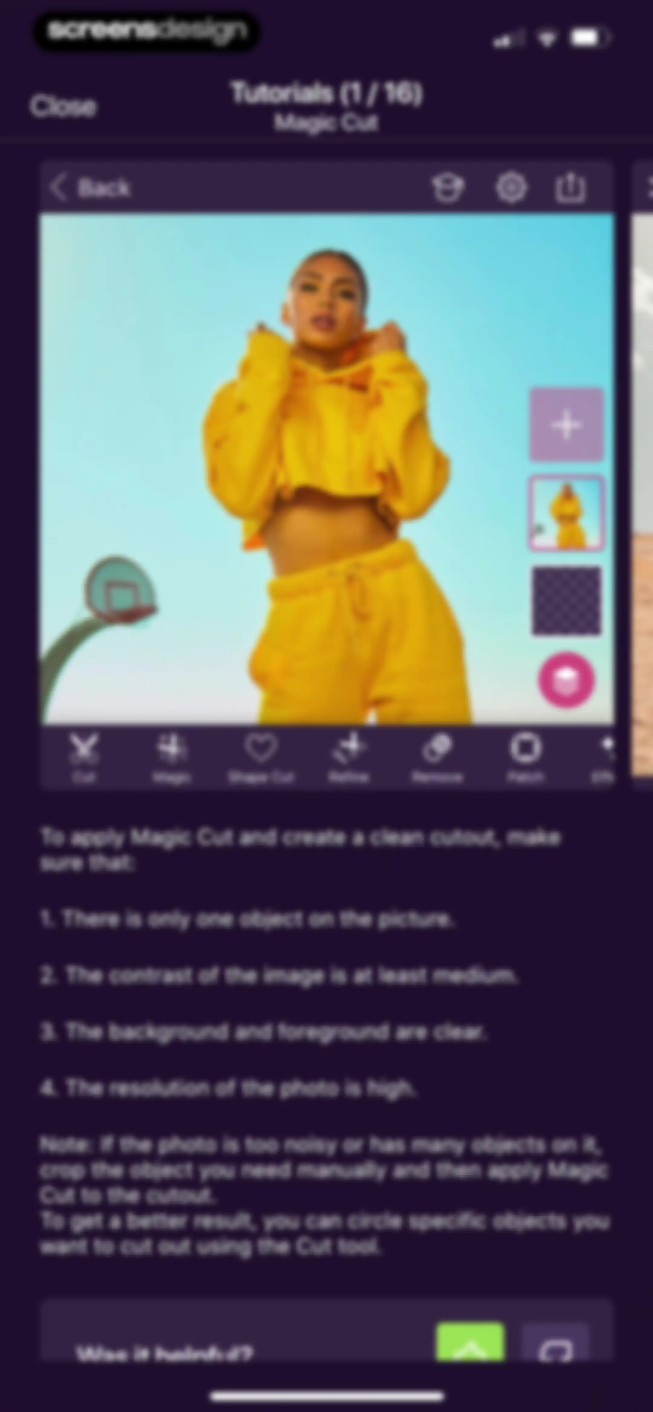 Pixomatic - AI Photo BG Eraser screen 117