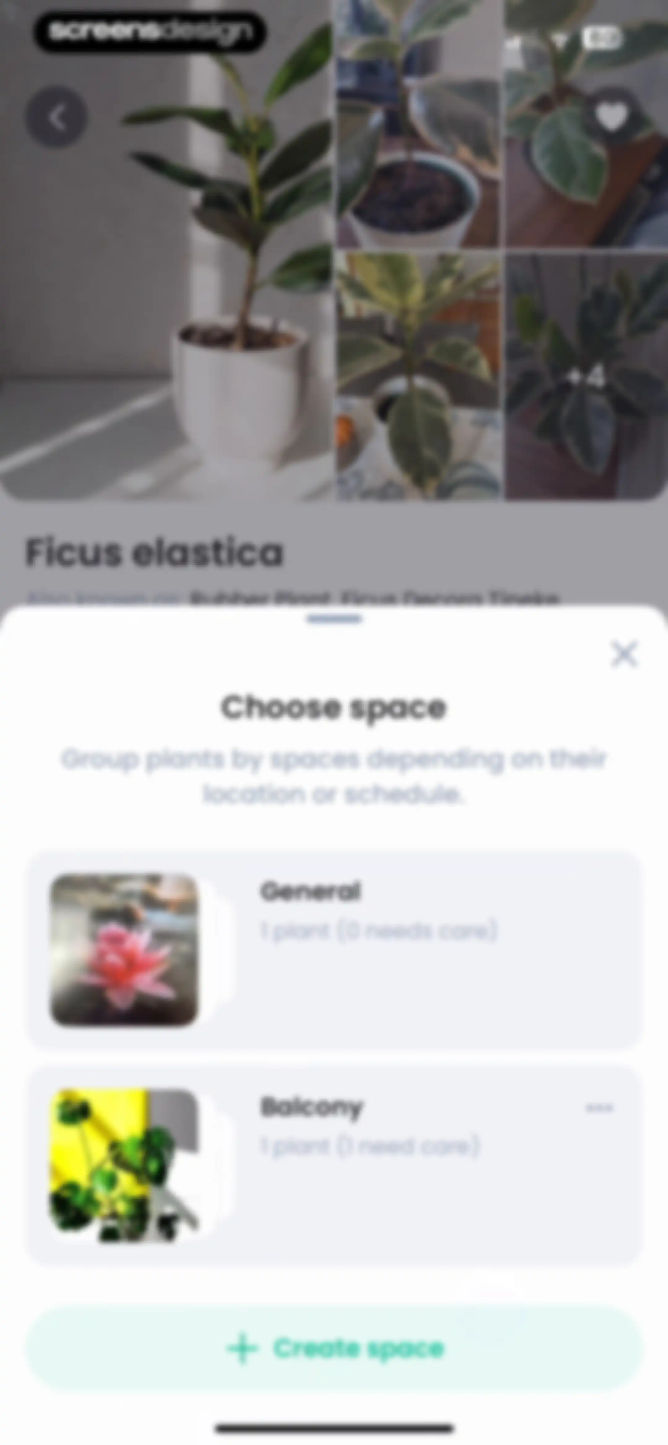 PlantIn: Plant Identifier・Care screen 149