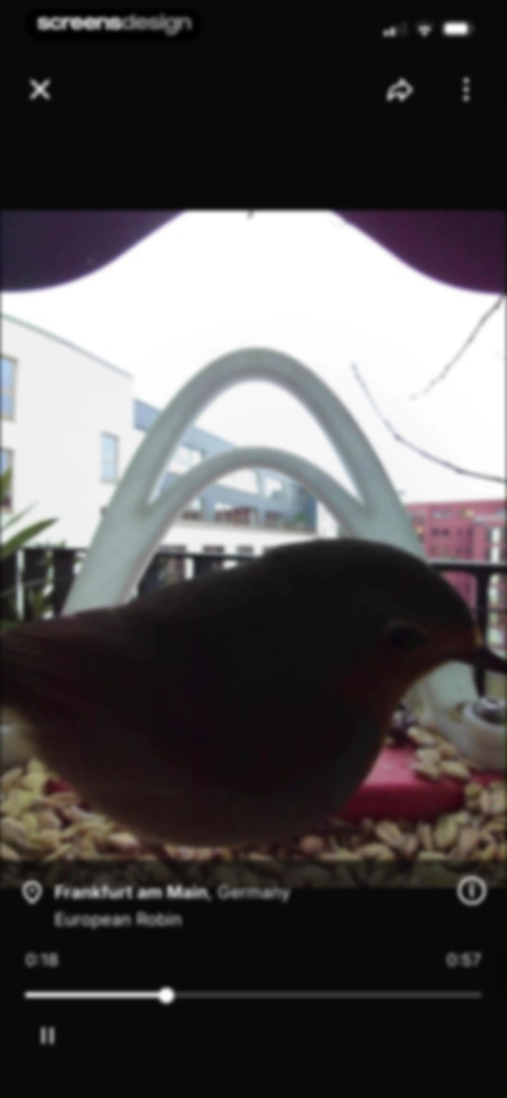 Birdbuddy: ID & Collect Birds screen 78