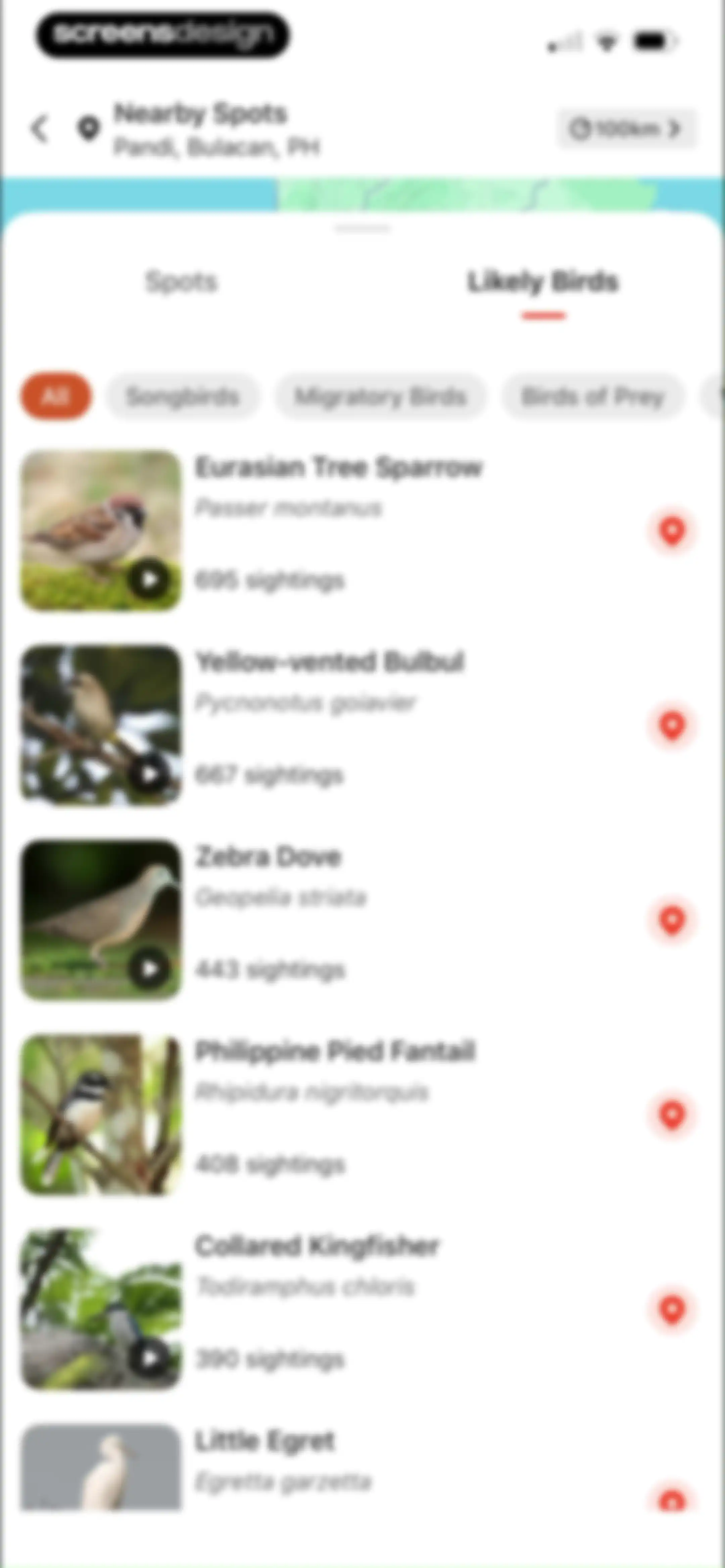 Picture Bird: Bird identifier screen 88