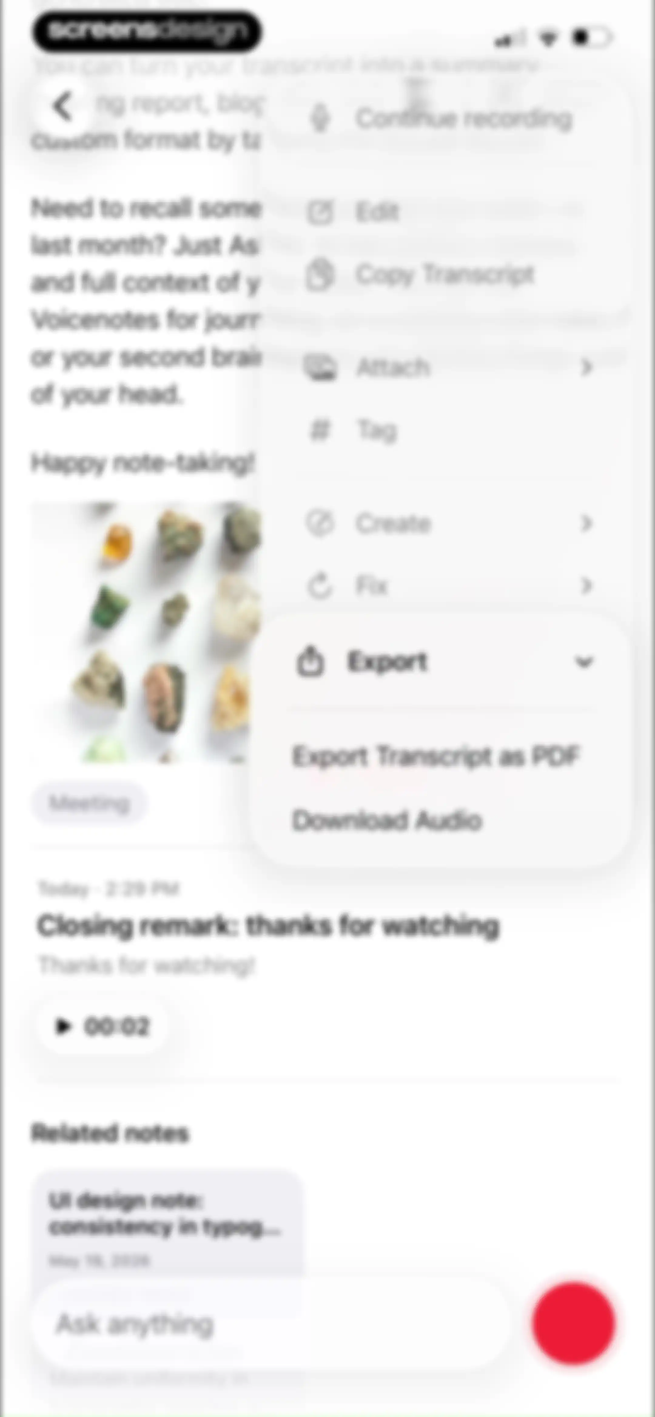 Voicenotes AI Notes & Meetings screen 41