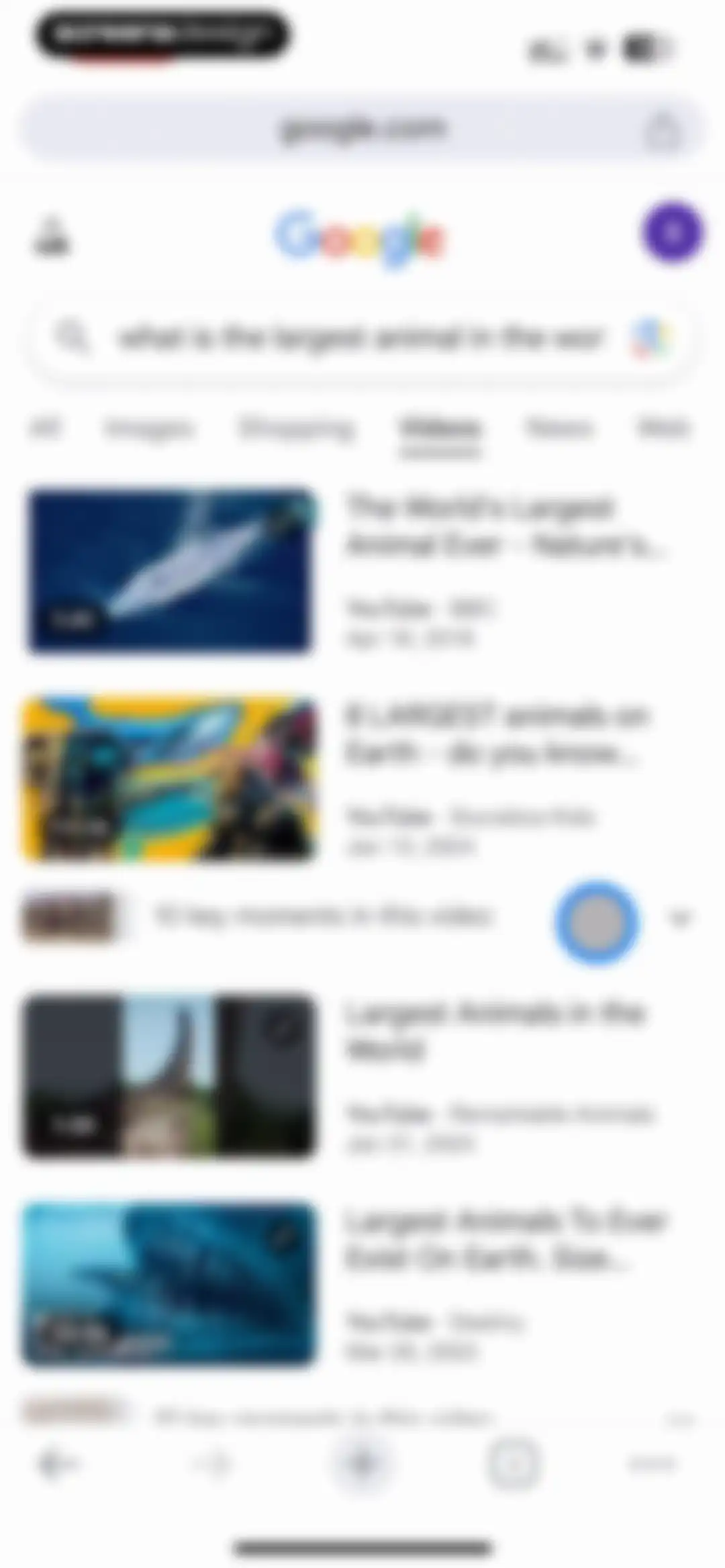 Google Chrome screen 21