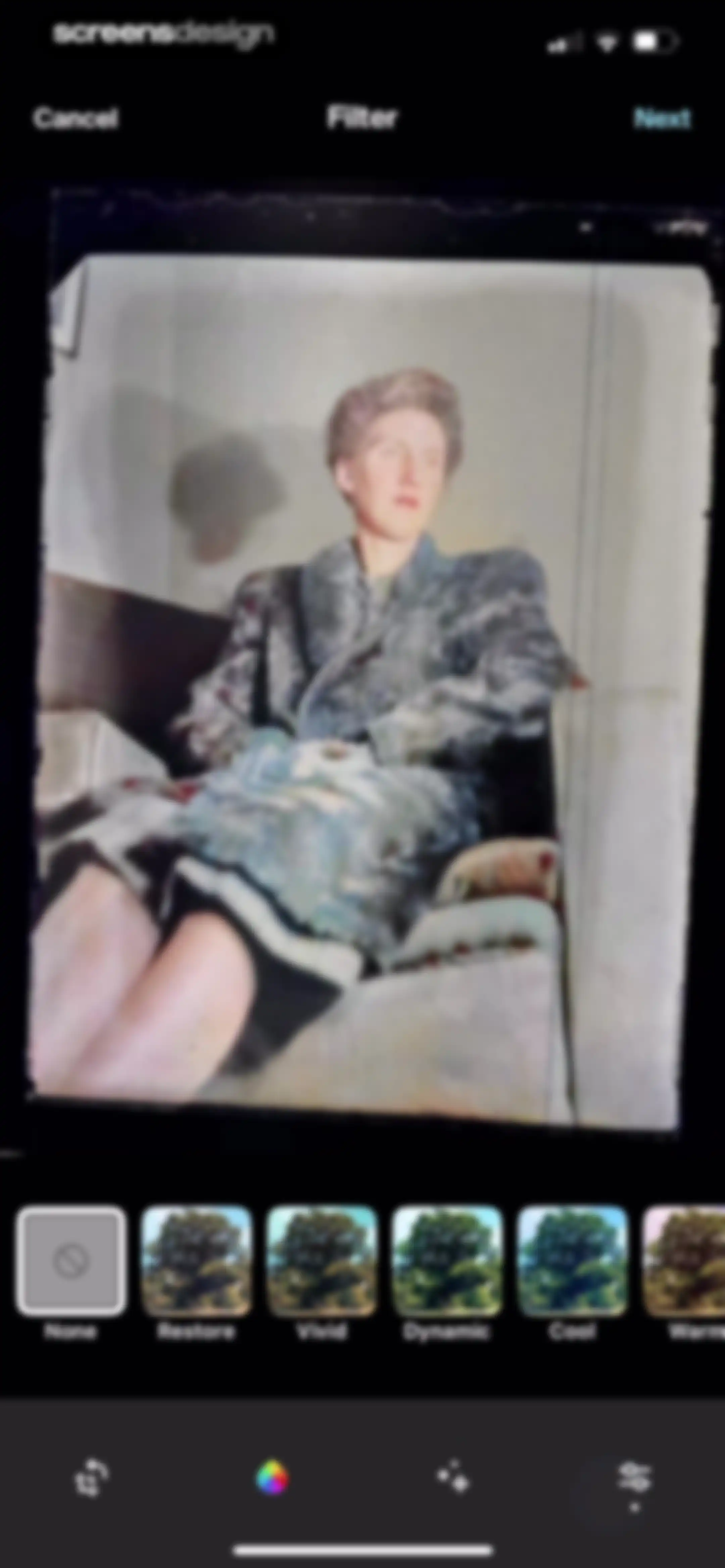 Ancestry: Family History & DNA screen 104