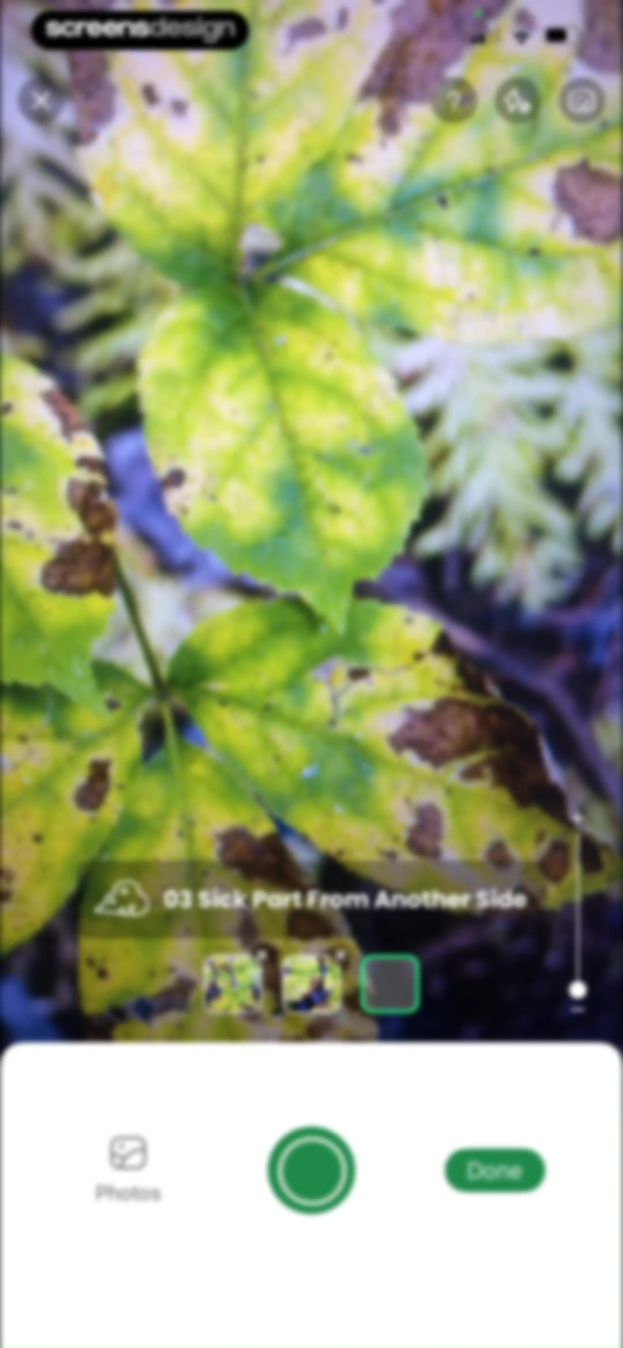 PlantAI: Identifier & Diagnose screen 75