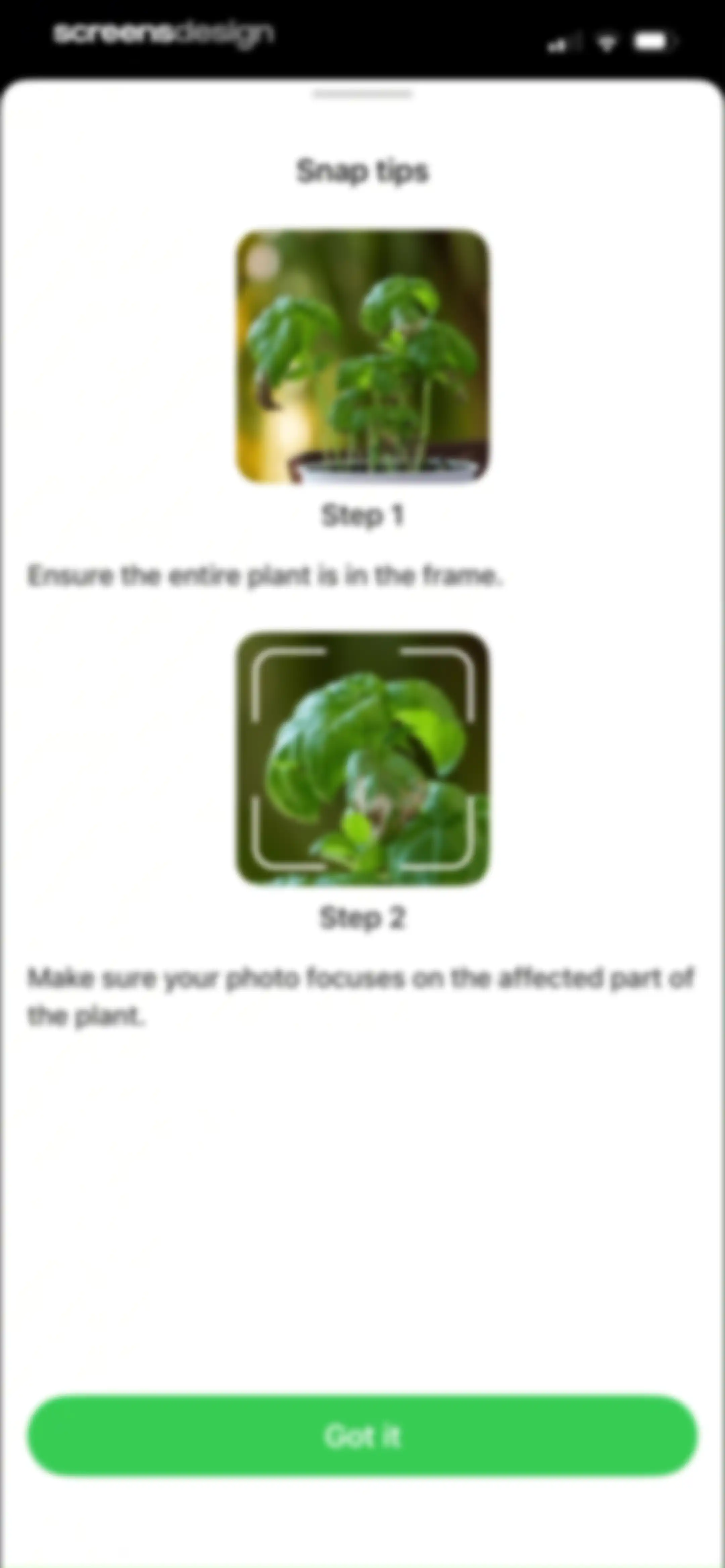 Plant Identifier & Plant Care. screen 47