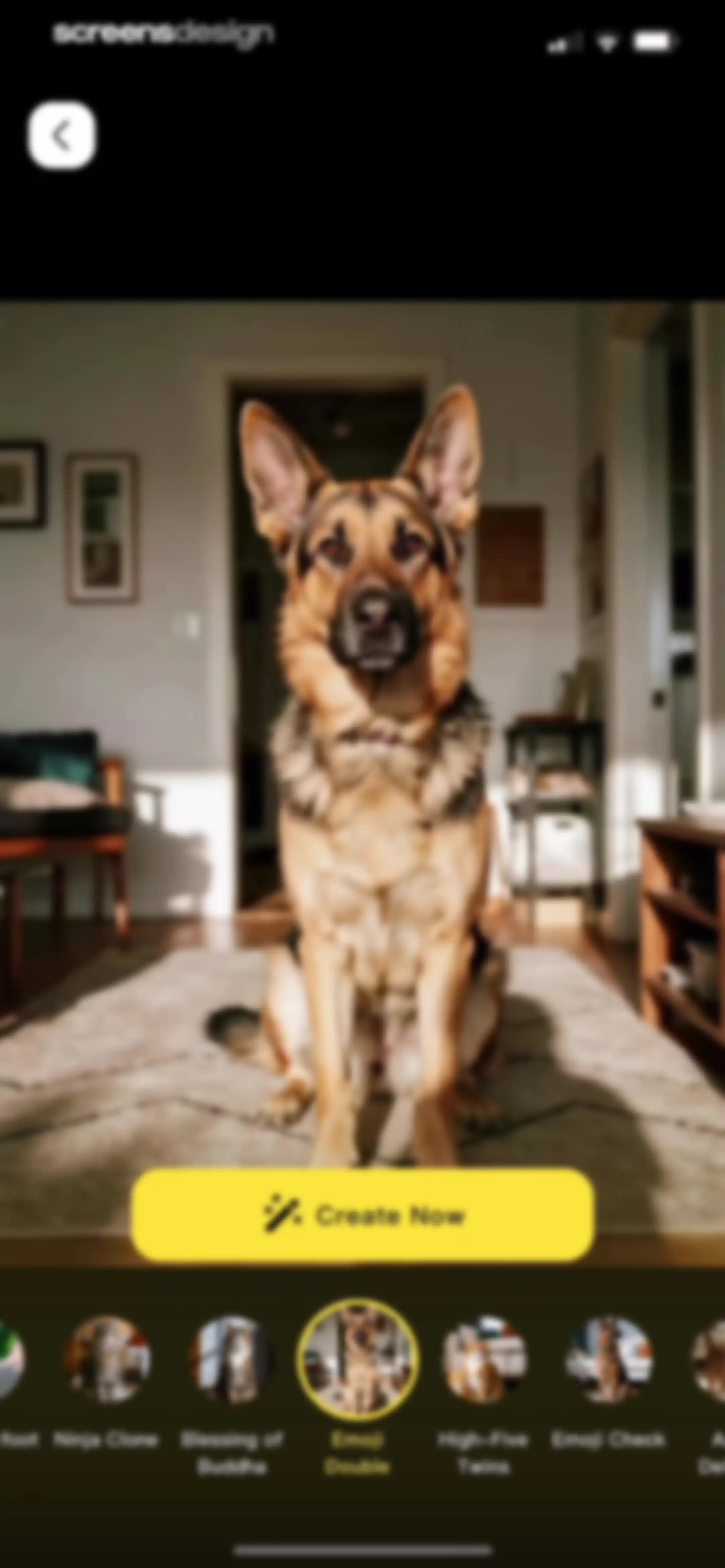 PetFun-Pet Talk & Camera screen 41