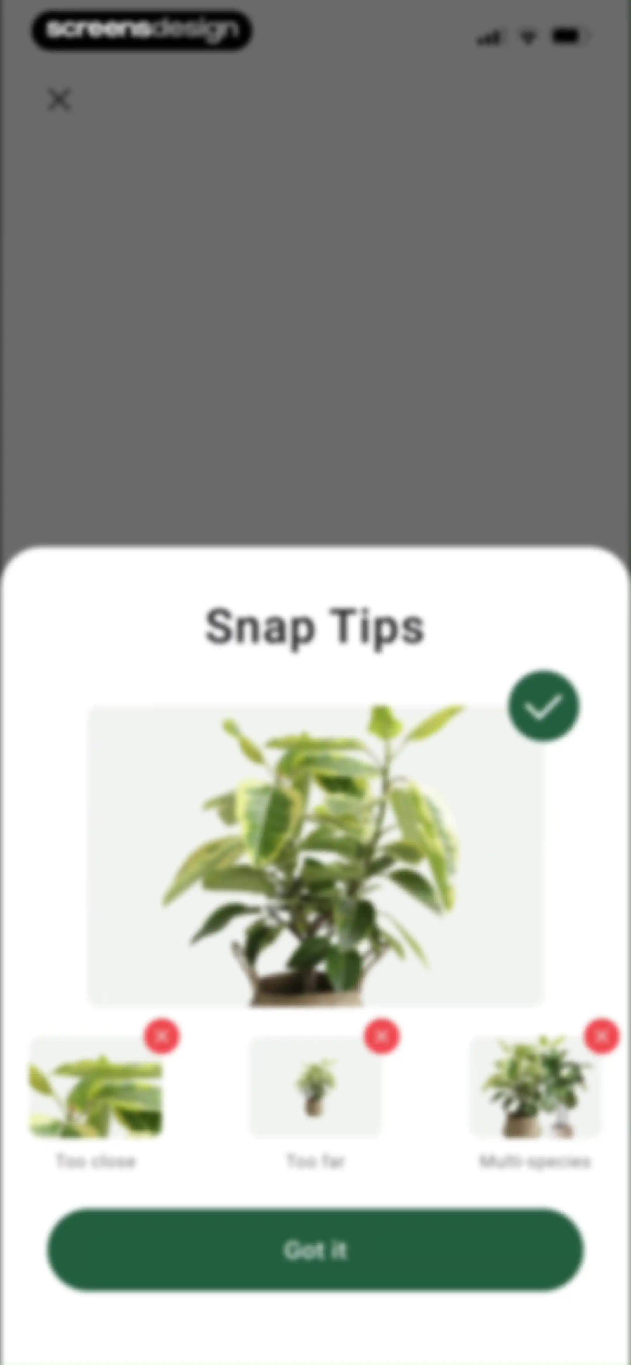 PlantAID:identifier&care guide screen 23