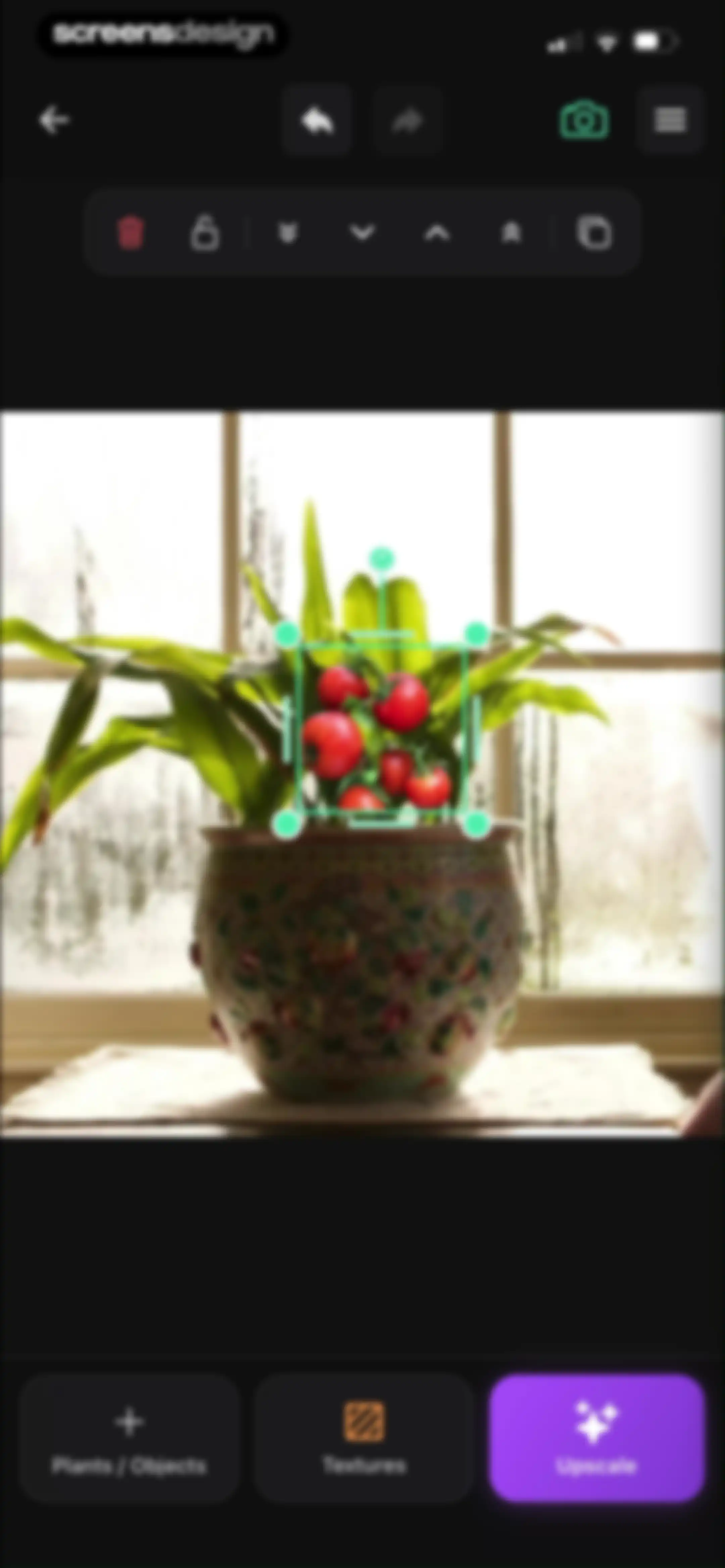 Sow: Garden & Landscape Design screen 160