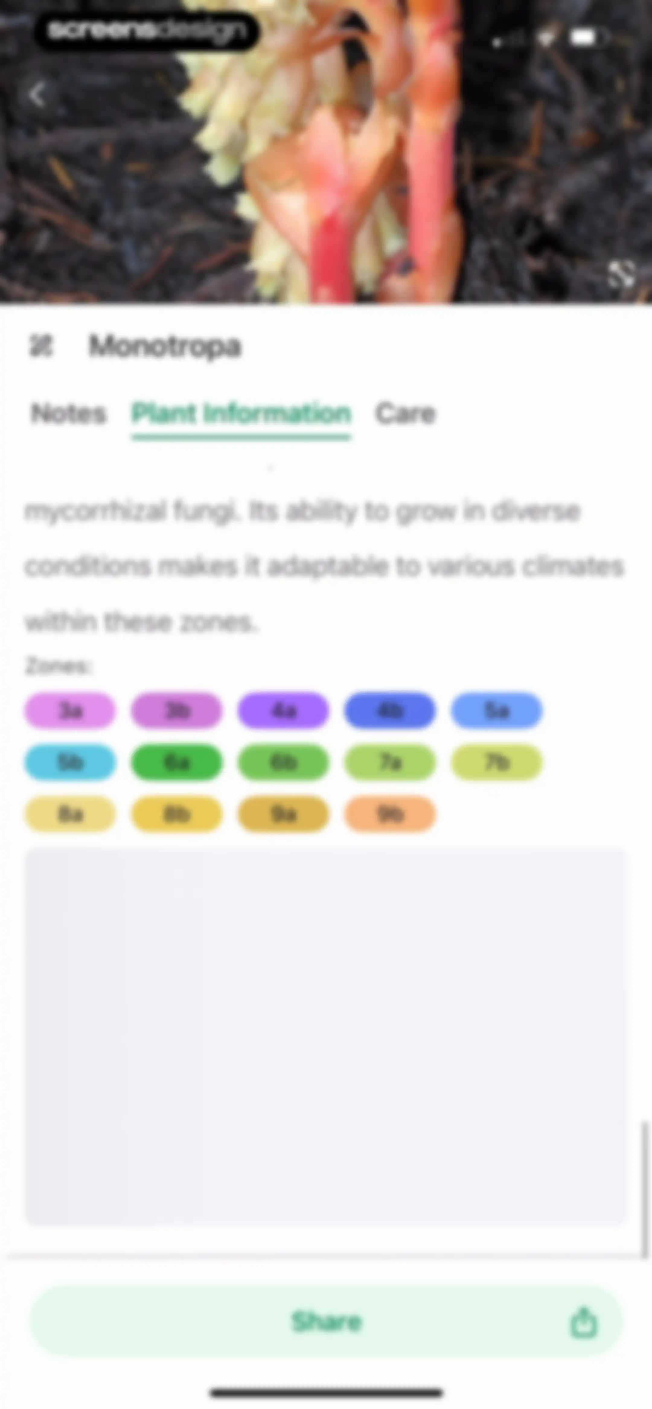 Identify My Plant Now screen 80