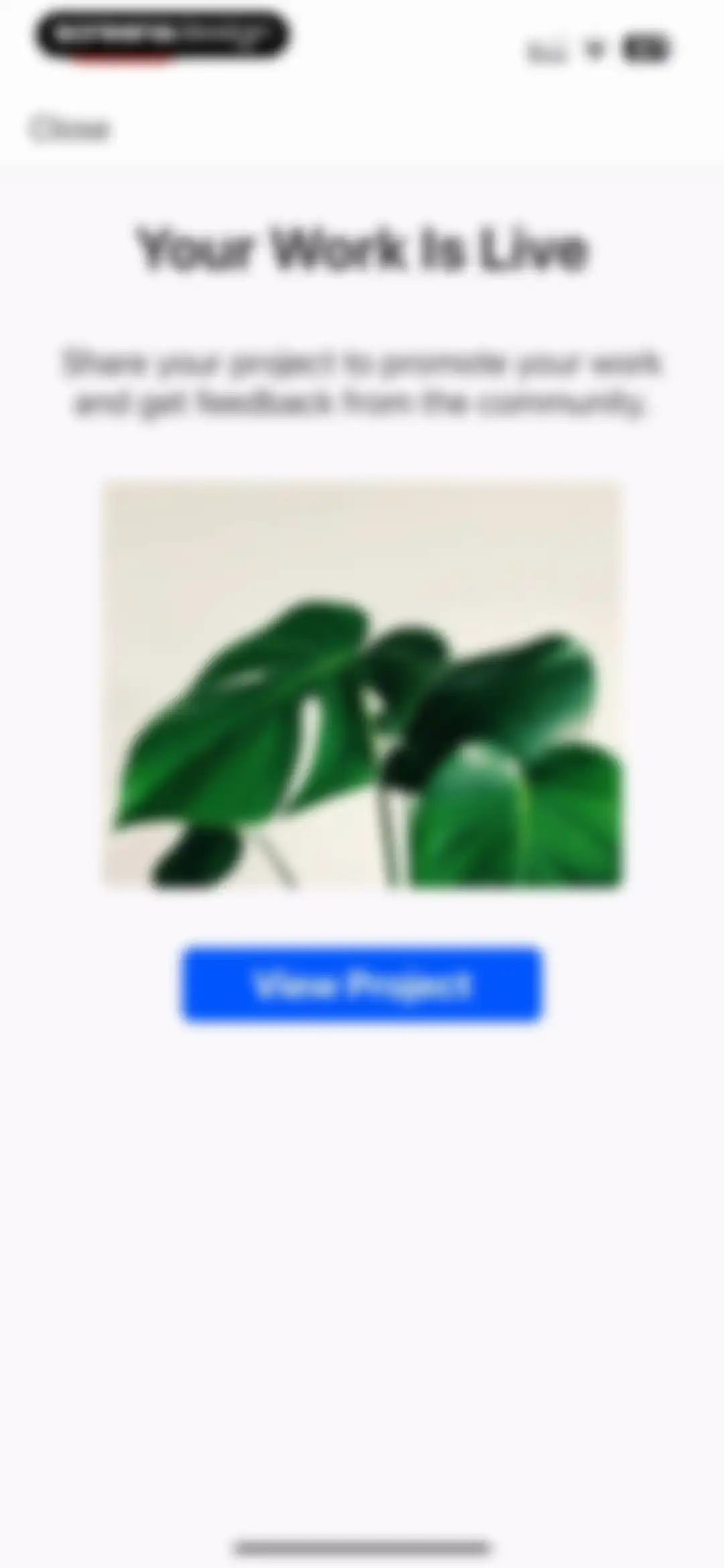 Behance – Creative Portfolios screen 115