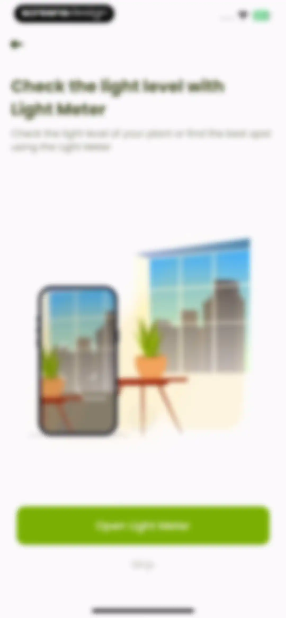 Plant Identifier & Care: Ficus screen 33