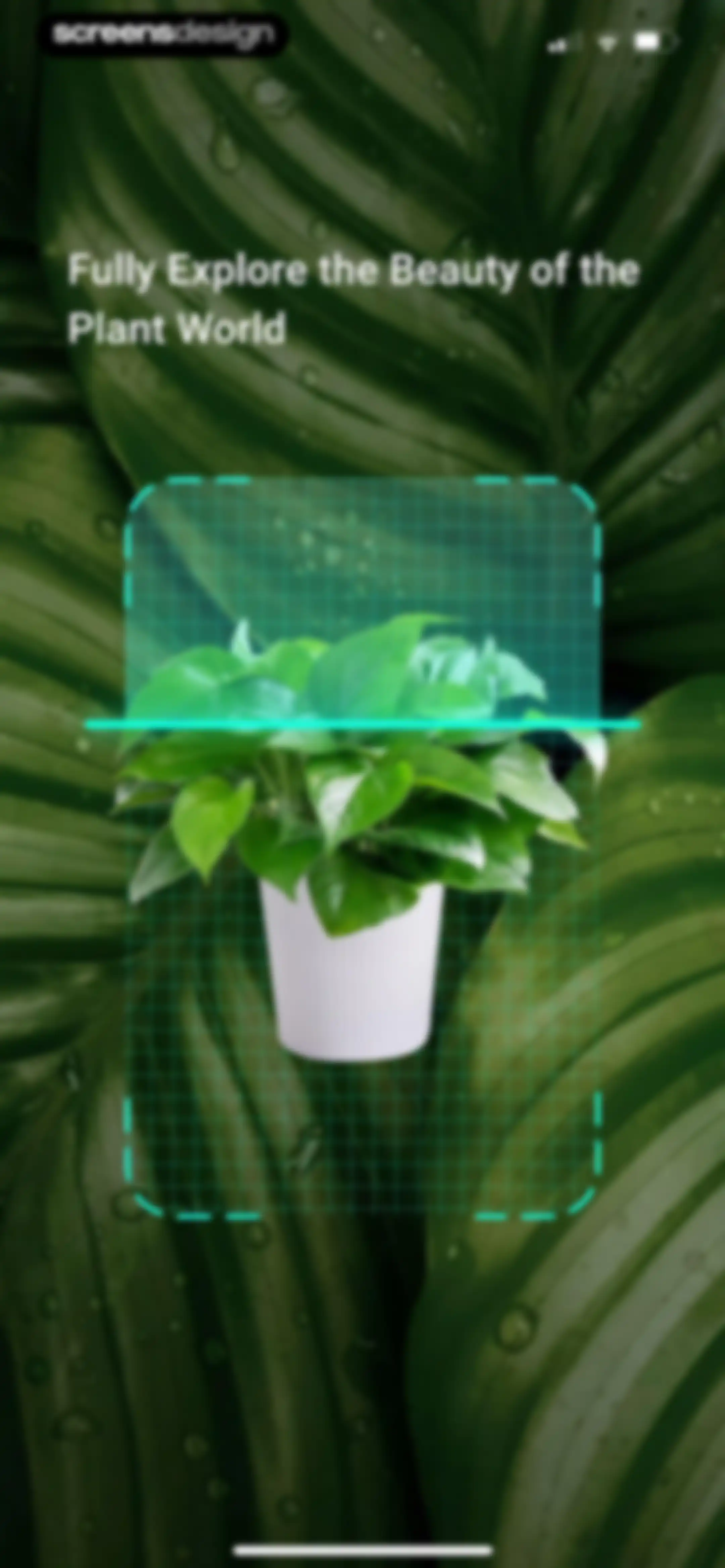 PlantDaily: AI Plant Care screen 6