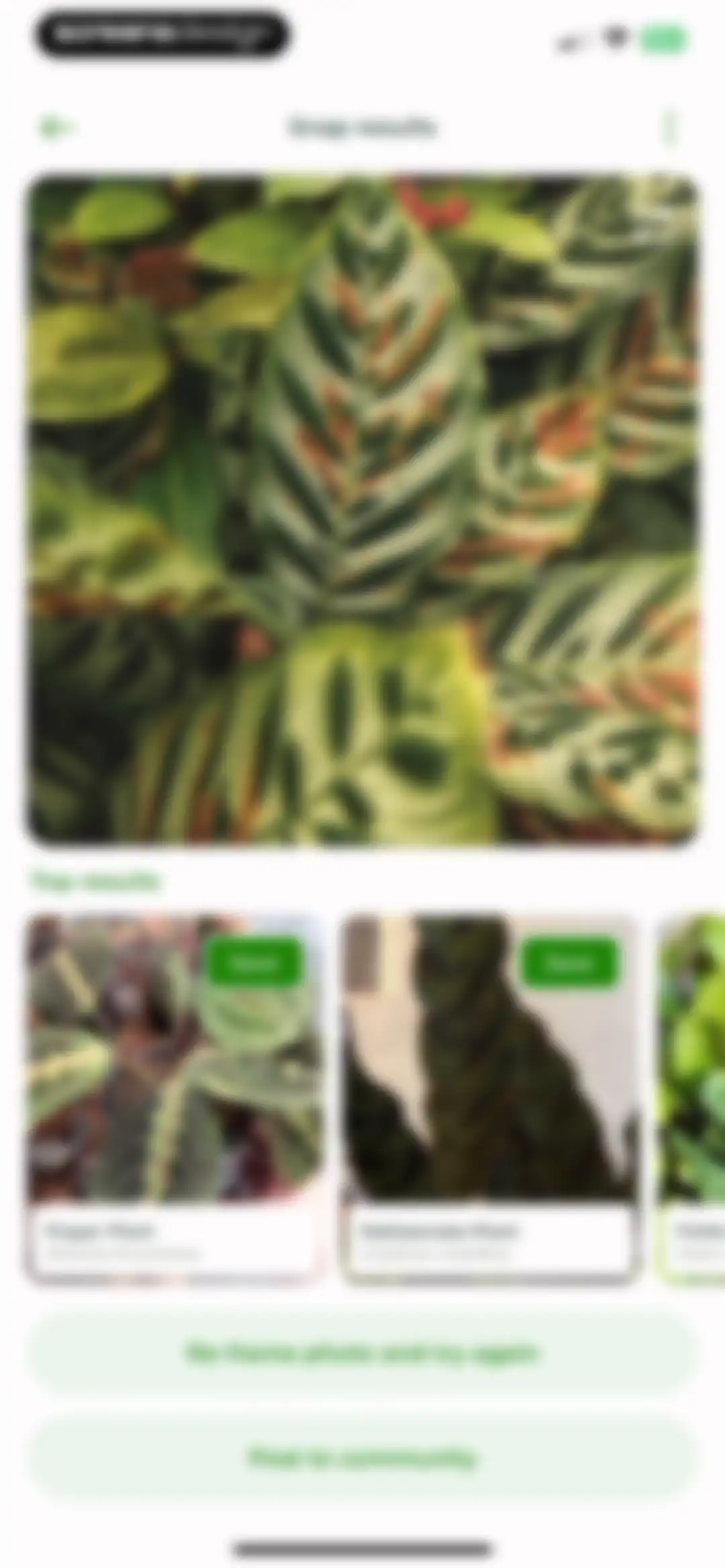 PlantSnap - Plant Scanner screen 45