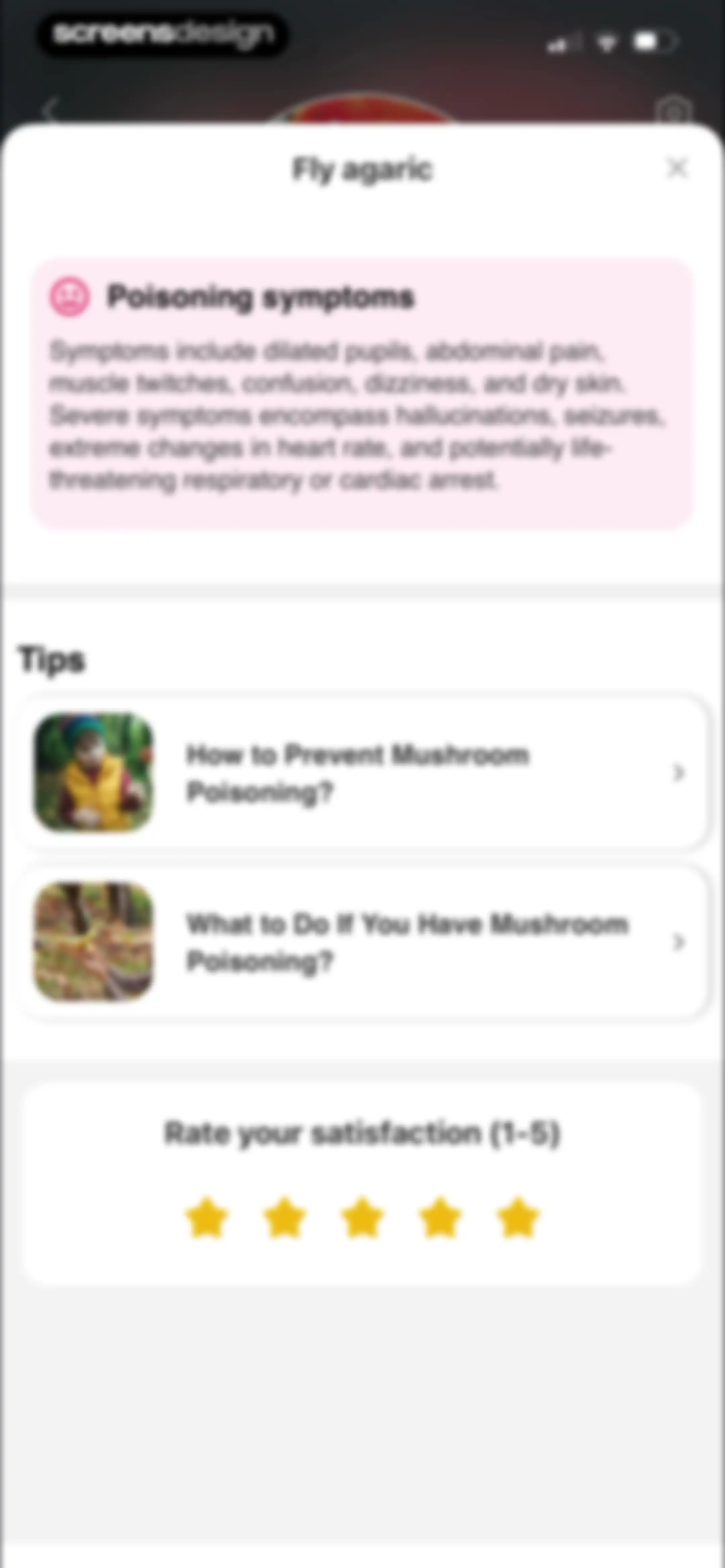 Picture Mushroom: Identifier screen 29
