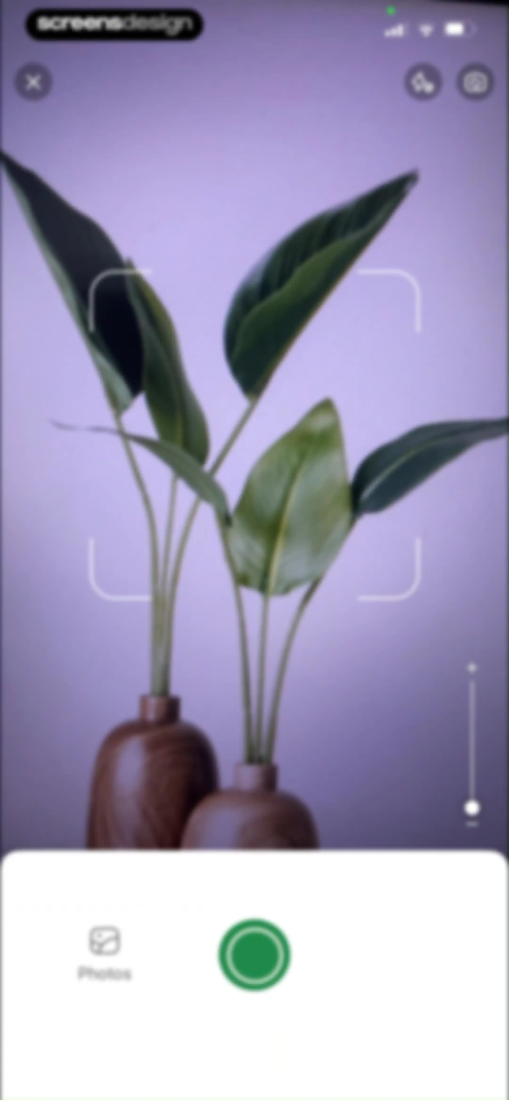 PlantAI: Identifier & Diagnose screen 21