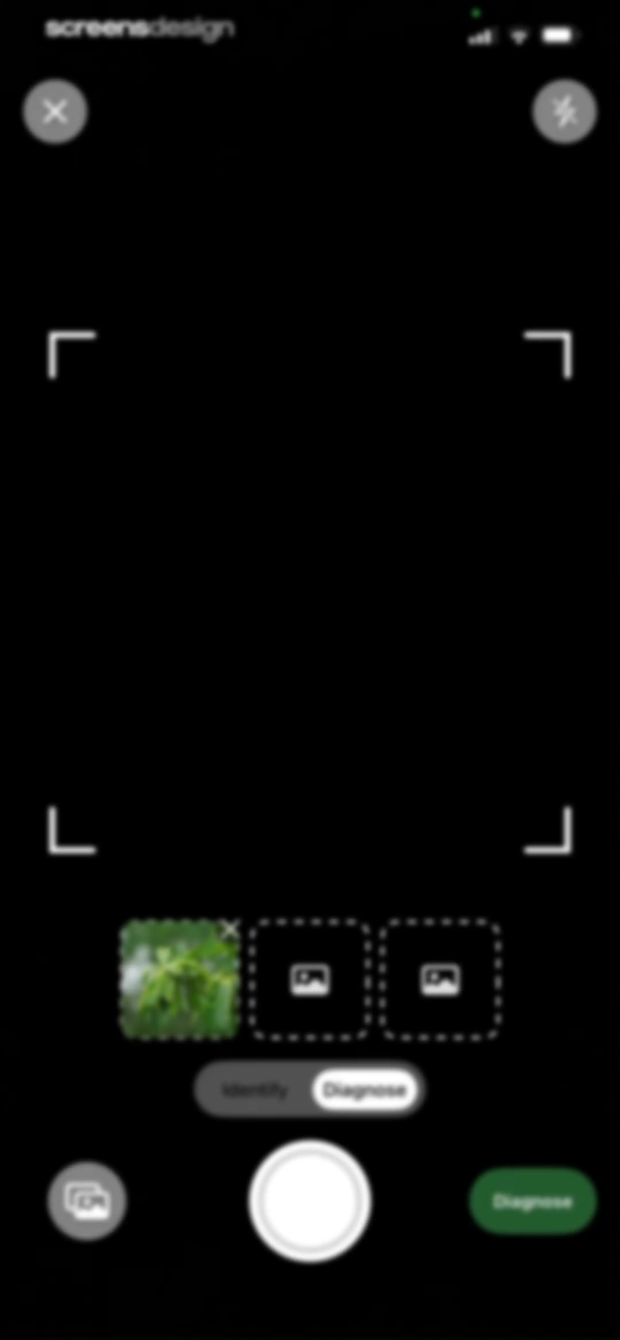 FloraSnap: Plant Scanner screen 77