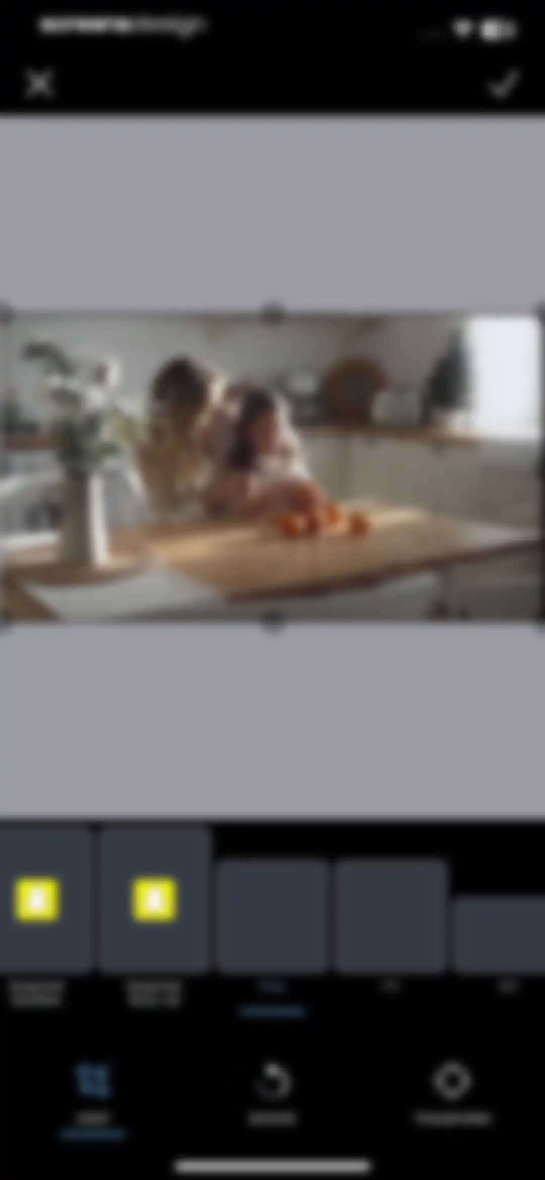 PicMonkey Photo + Video Design screen 80