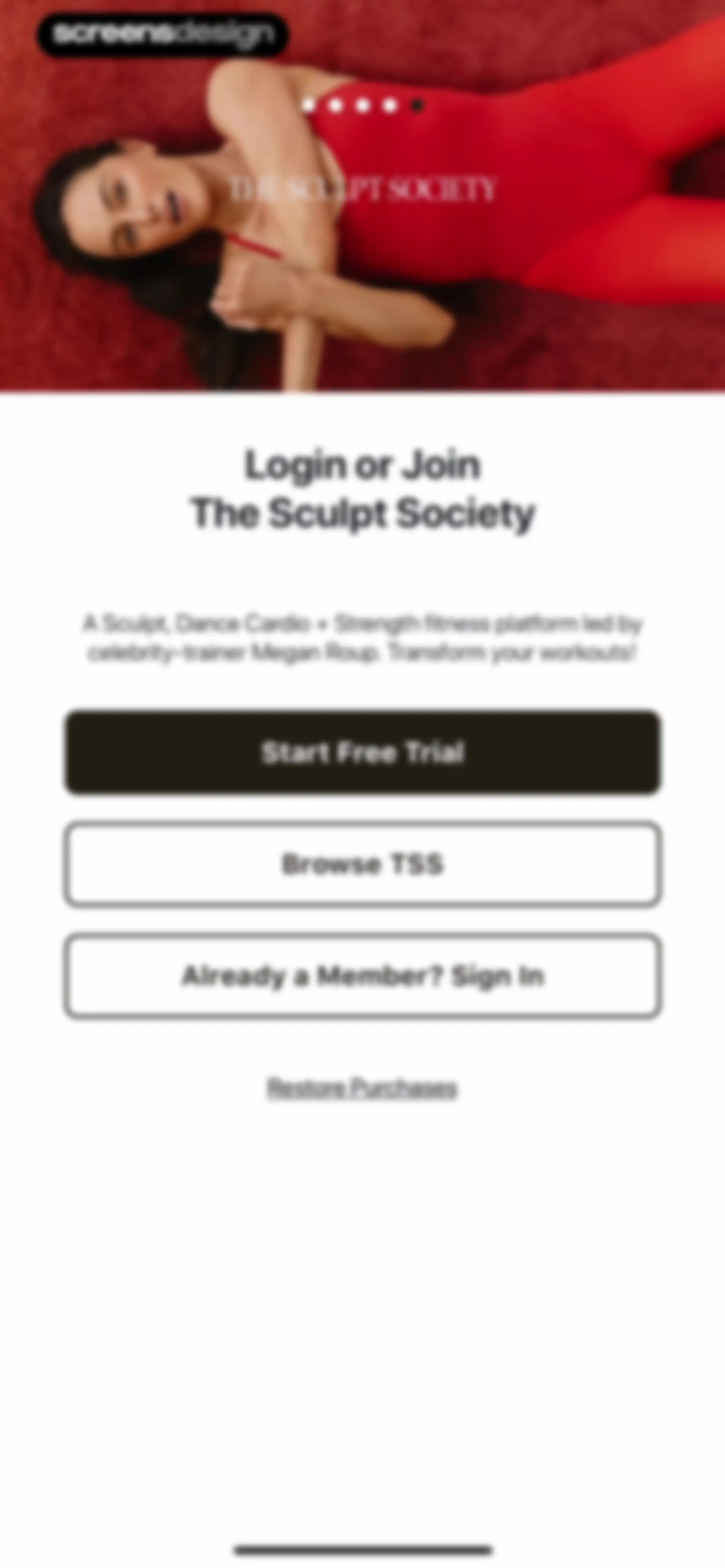 The Sculpt Society screen 7
