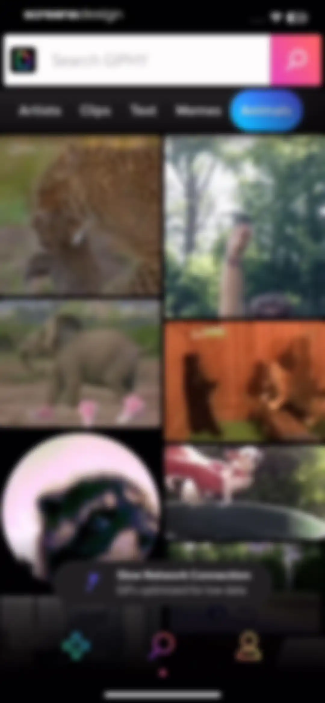 GIPHY: The GIF Search Engine screen 57
