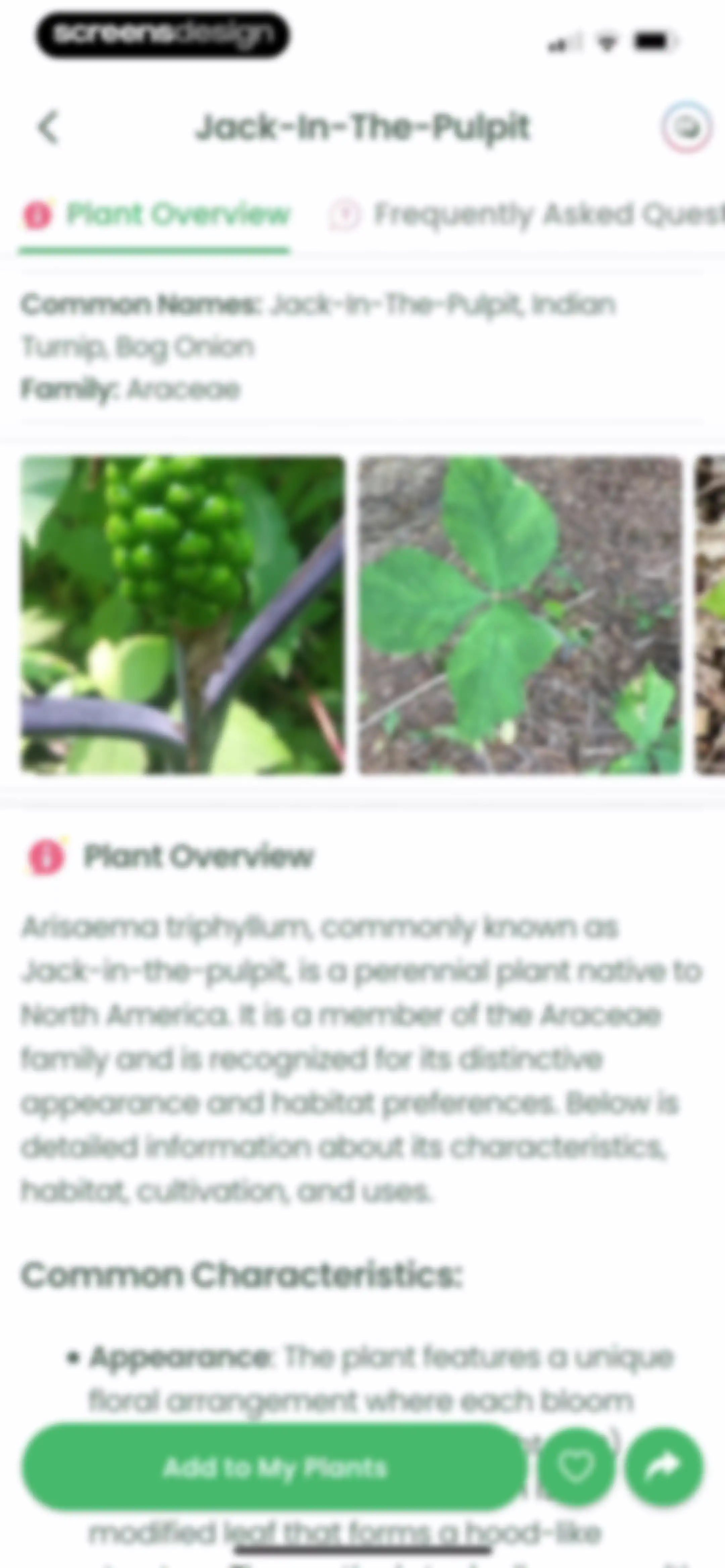 Plant Identifier: Plantiary screen 32