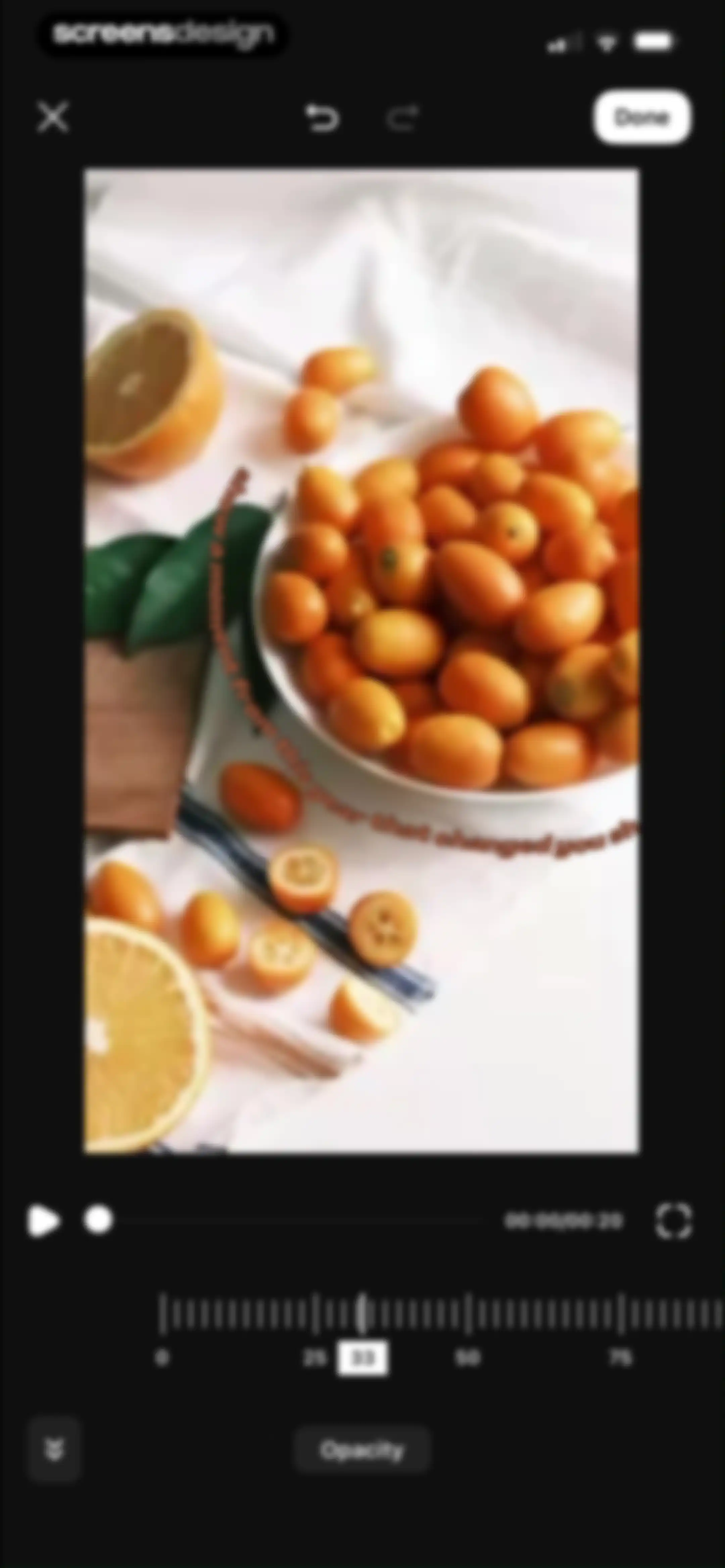 Muse: Reels Video Editor screen 32