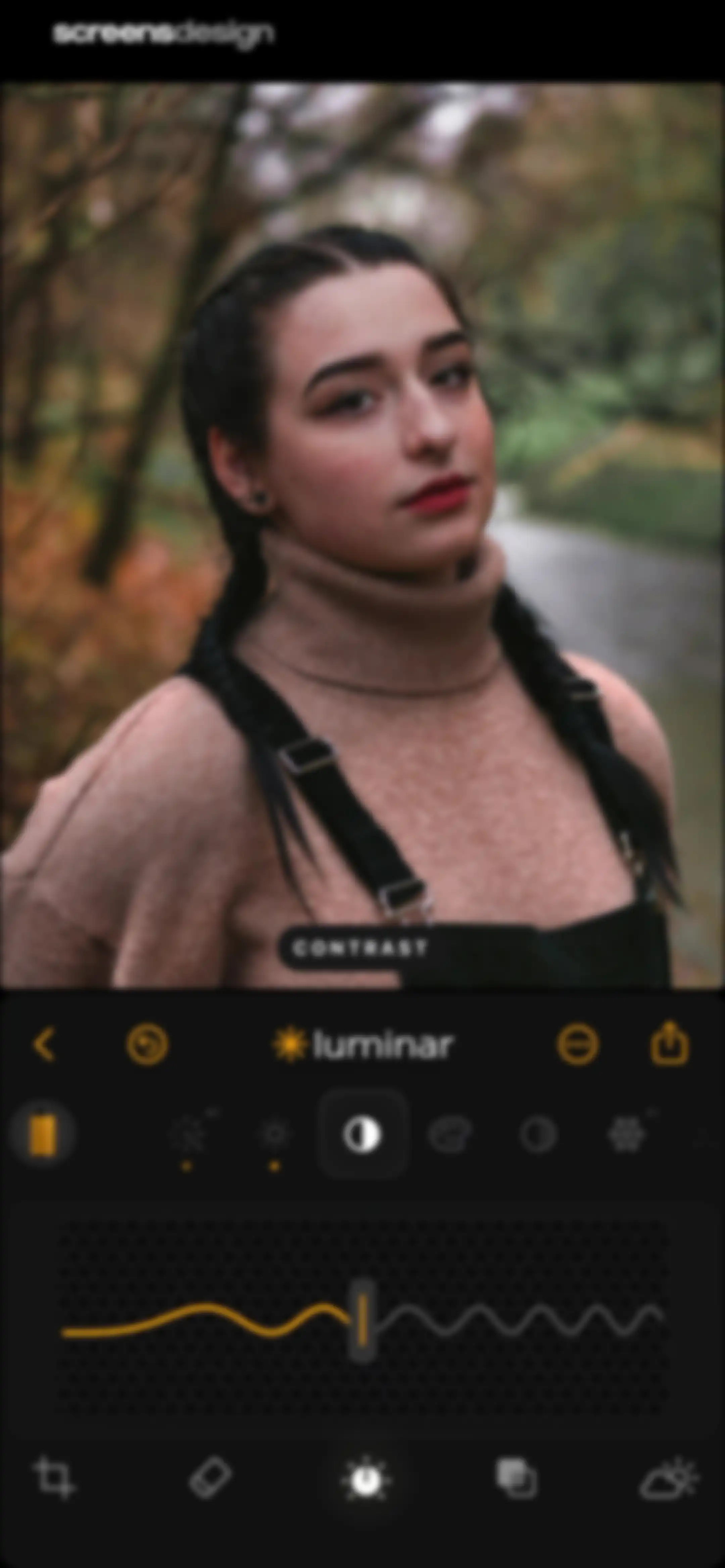 Luminar: Image Editor&Enhancer screen 22