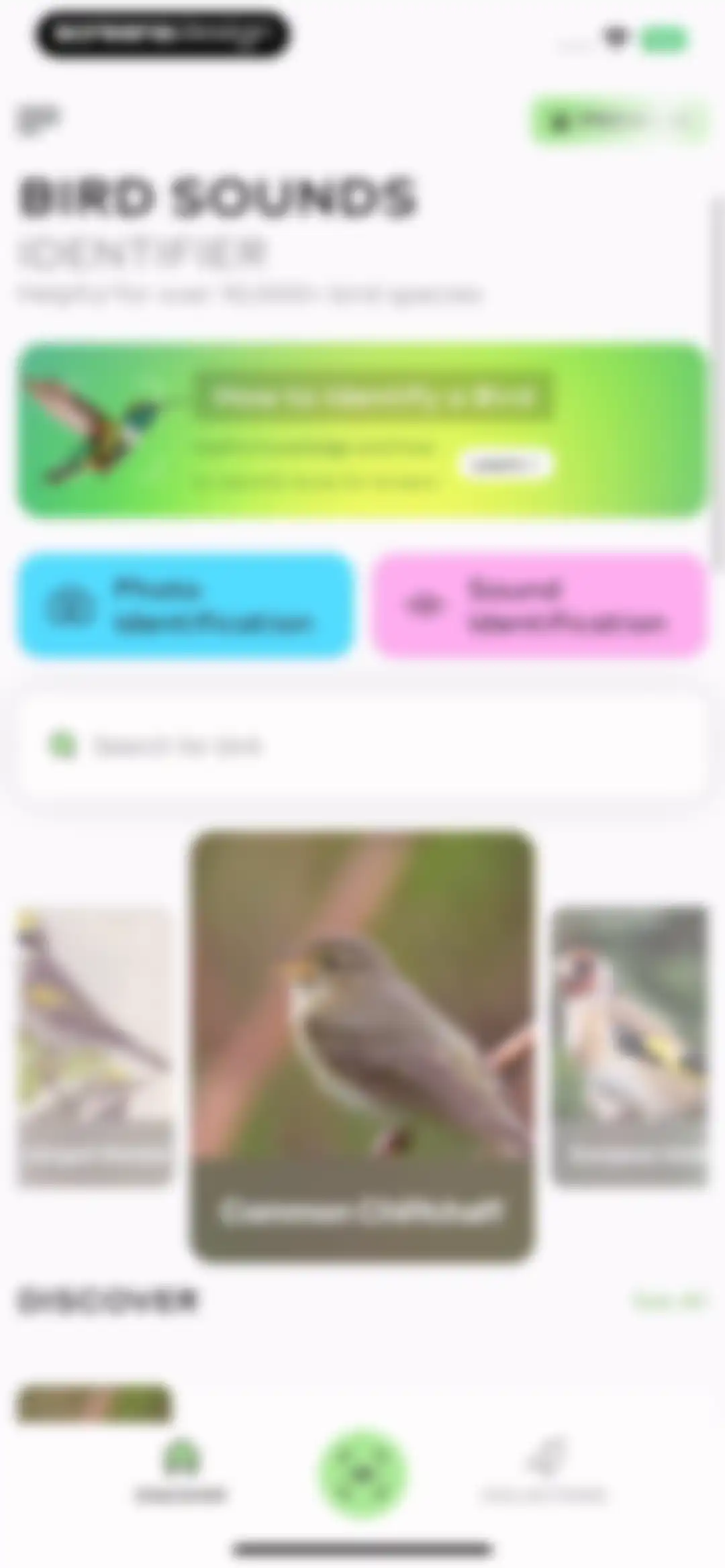 Bird Sounds Identifier Call ID screen 8