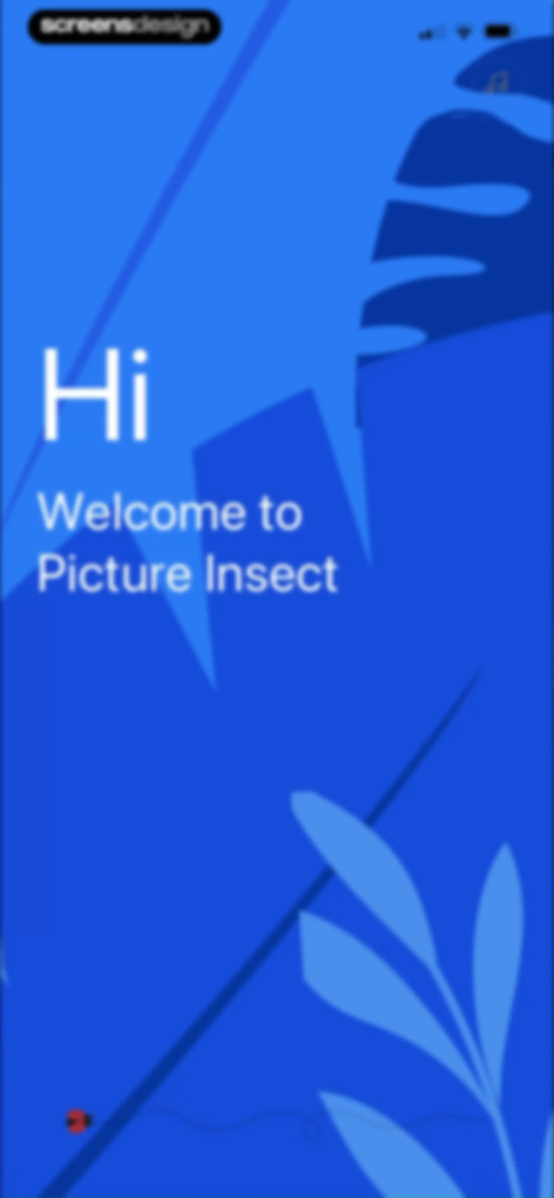 Picture Insect: Bug Identifier screen 4