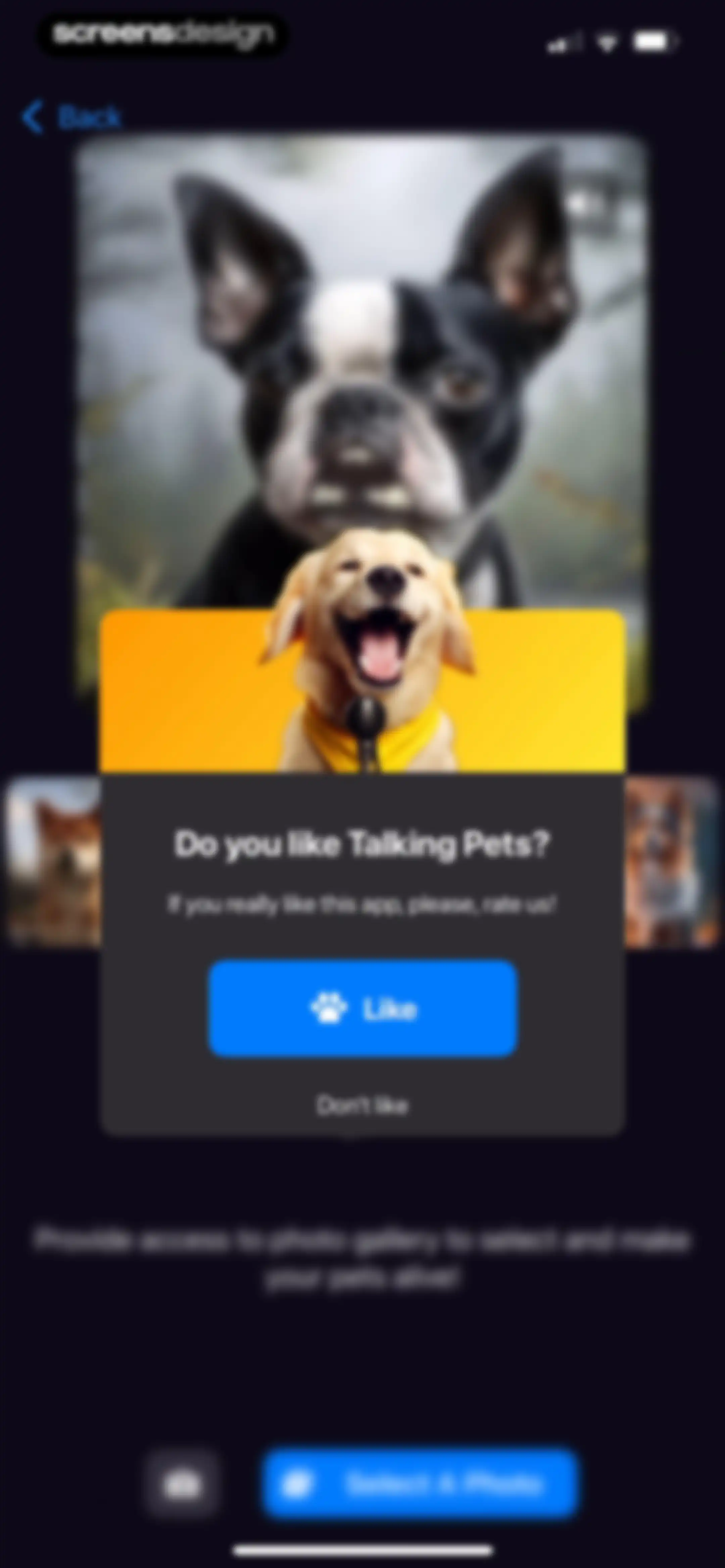 Talking Pet AI: Cat & Dog Talk screen 5