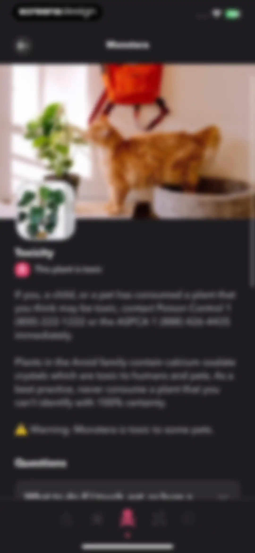 Greg: Plant Identifier & Care screen 32