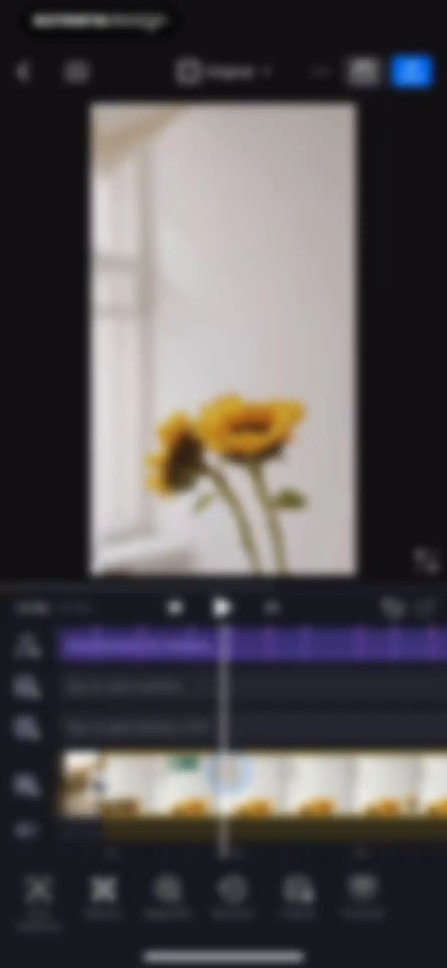 VN: Photo & Video Editor screen 65