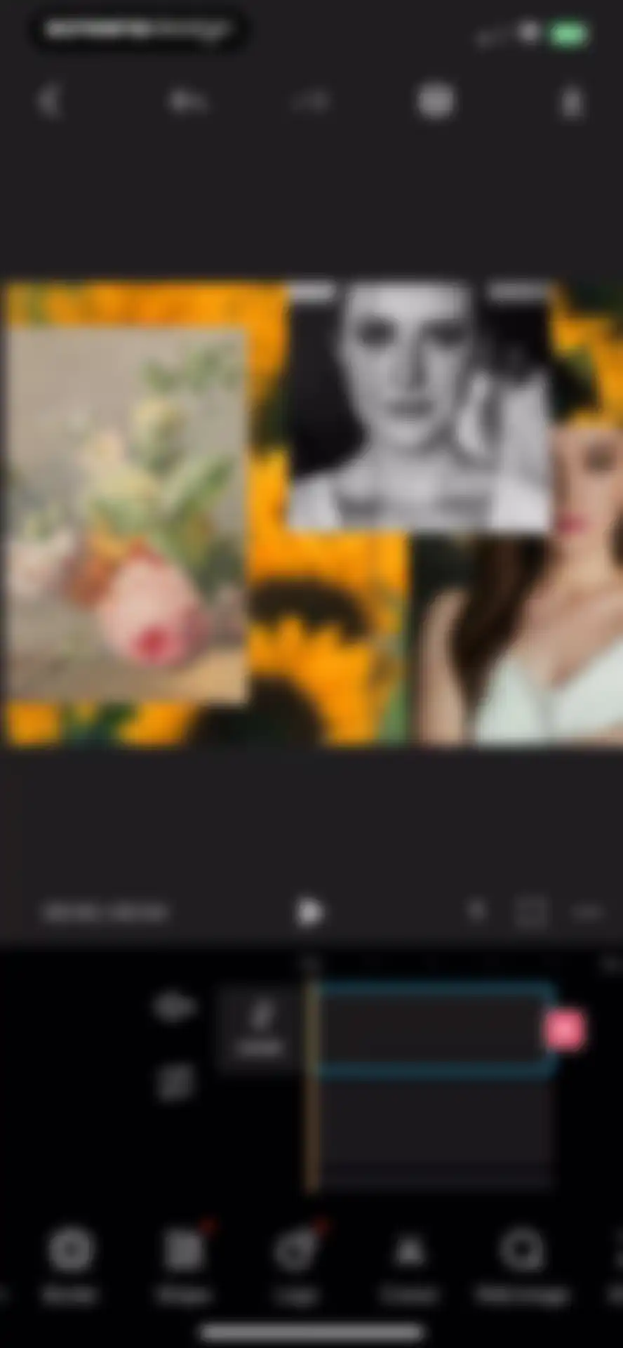 Collage Maker - LiveCollage screen 79