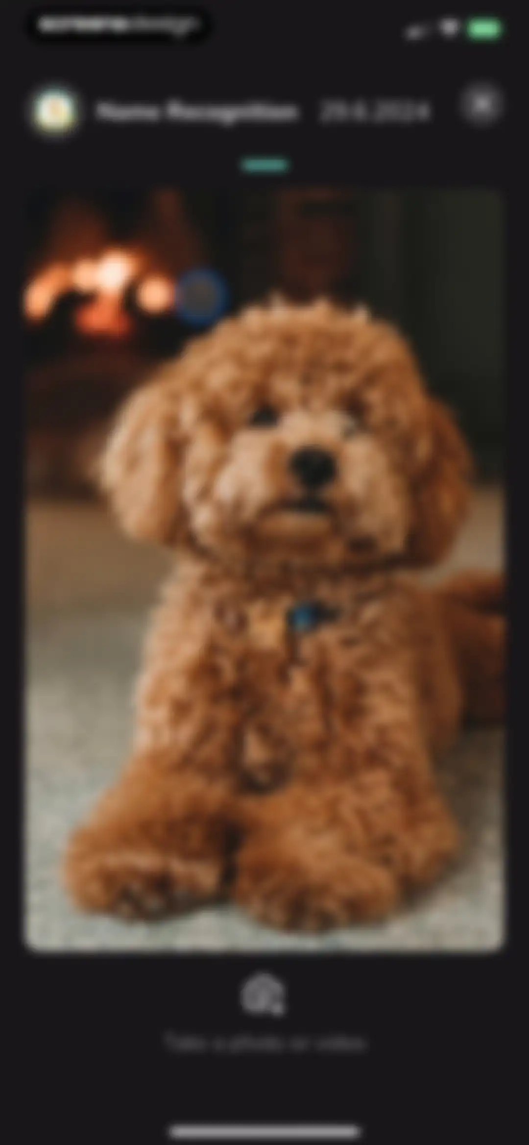 Hundeo - Dog Training & Tricks screen 80