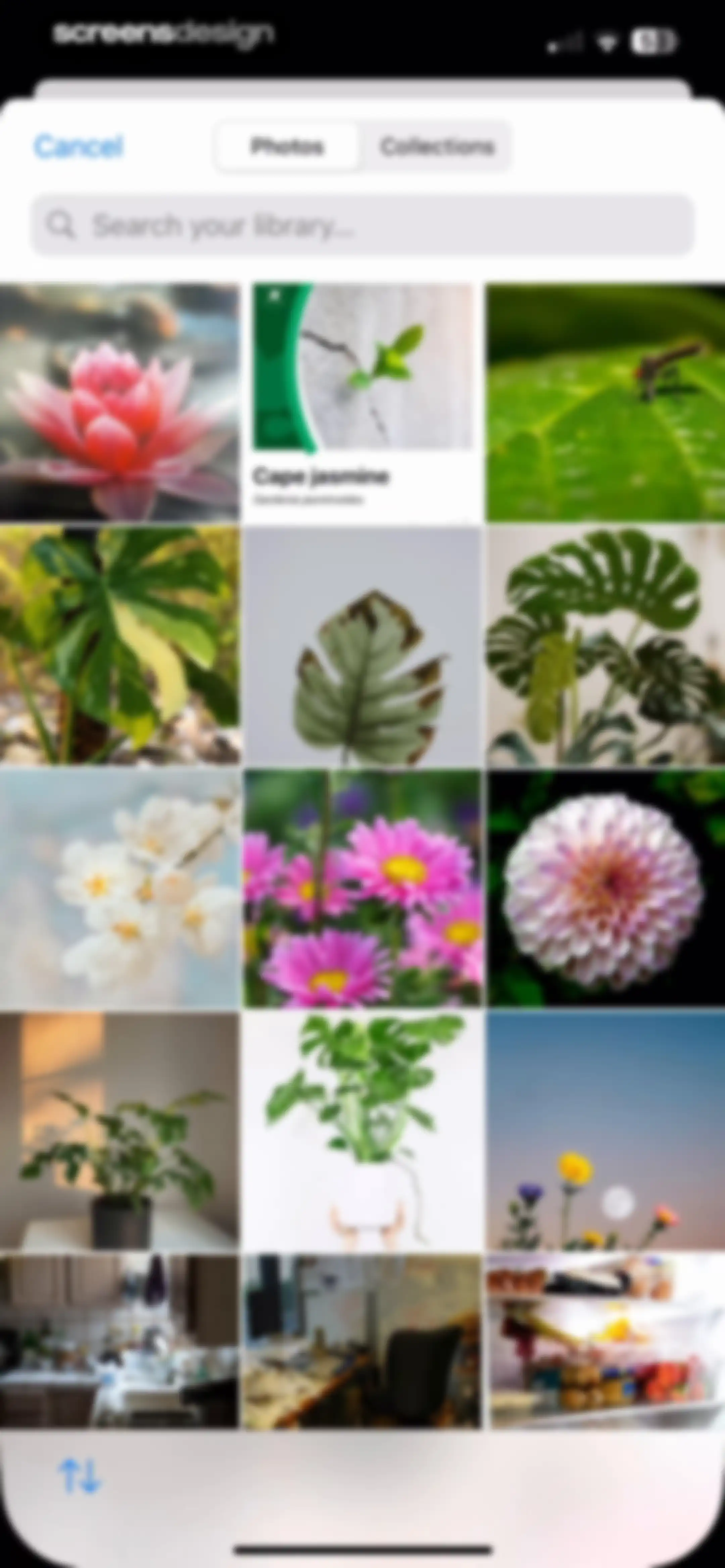 Photoleap: AI Photo Generator screen 62