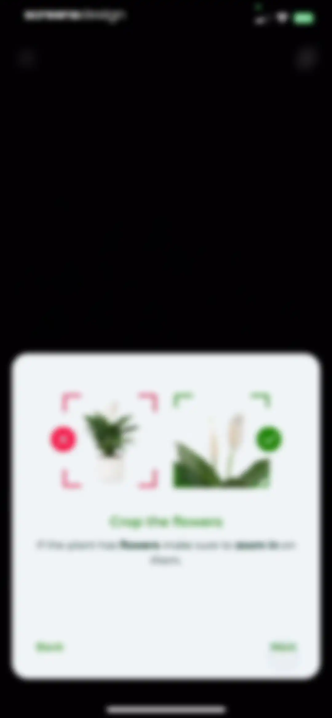 PlantSnap - Plant Scanner screen 34