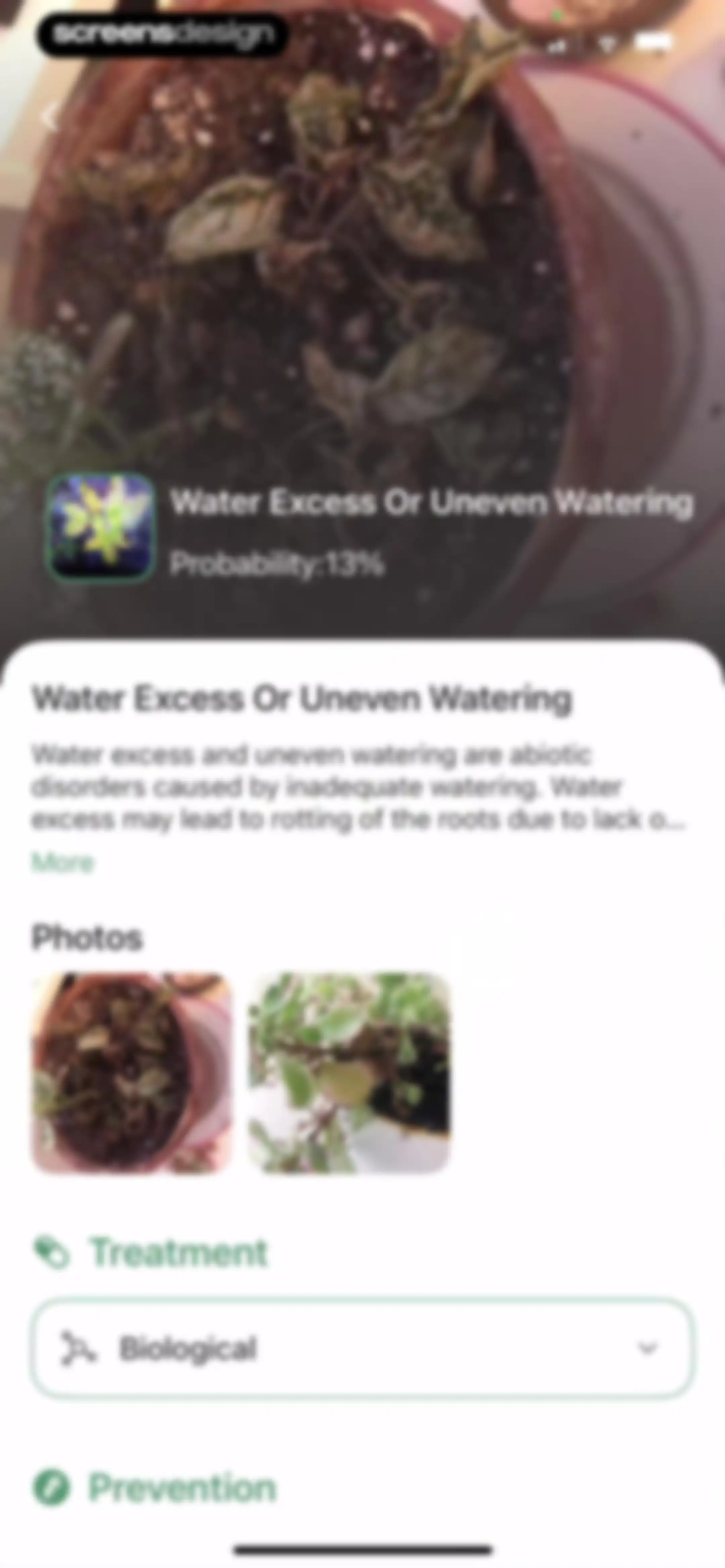 Verde Finder : identify plants screen 30