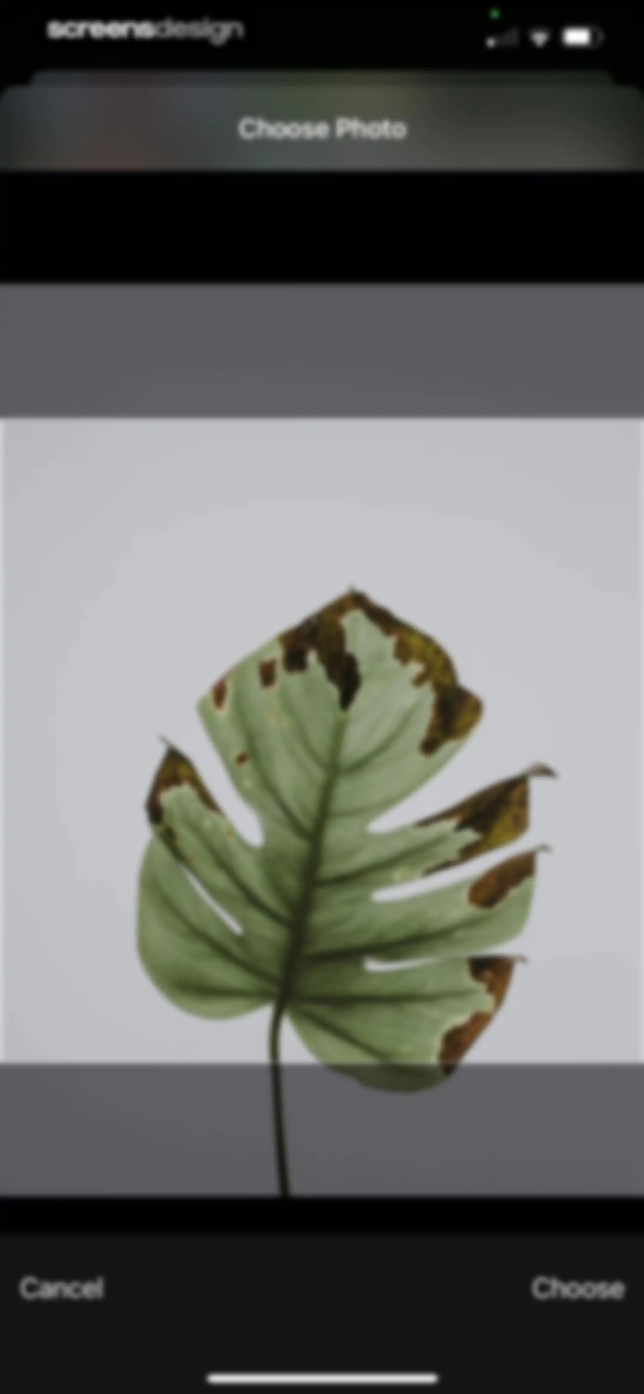 Plant Identifier & Care App screen 48