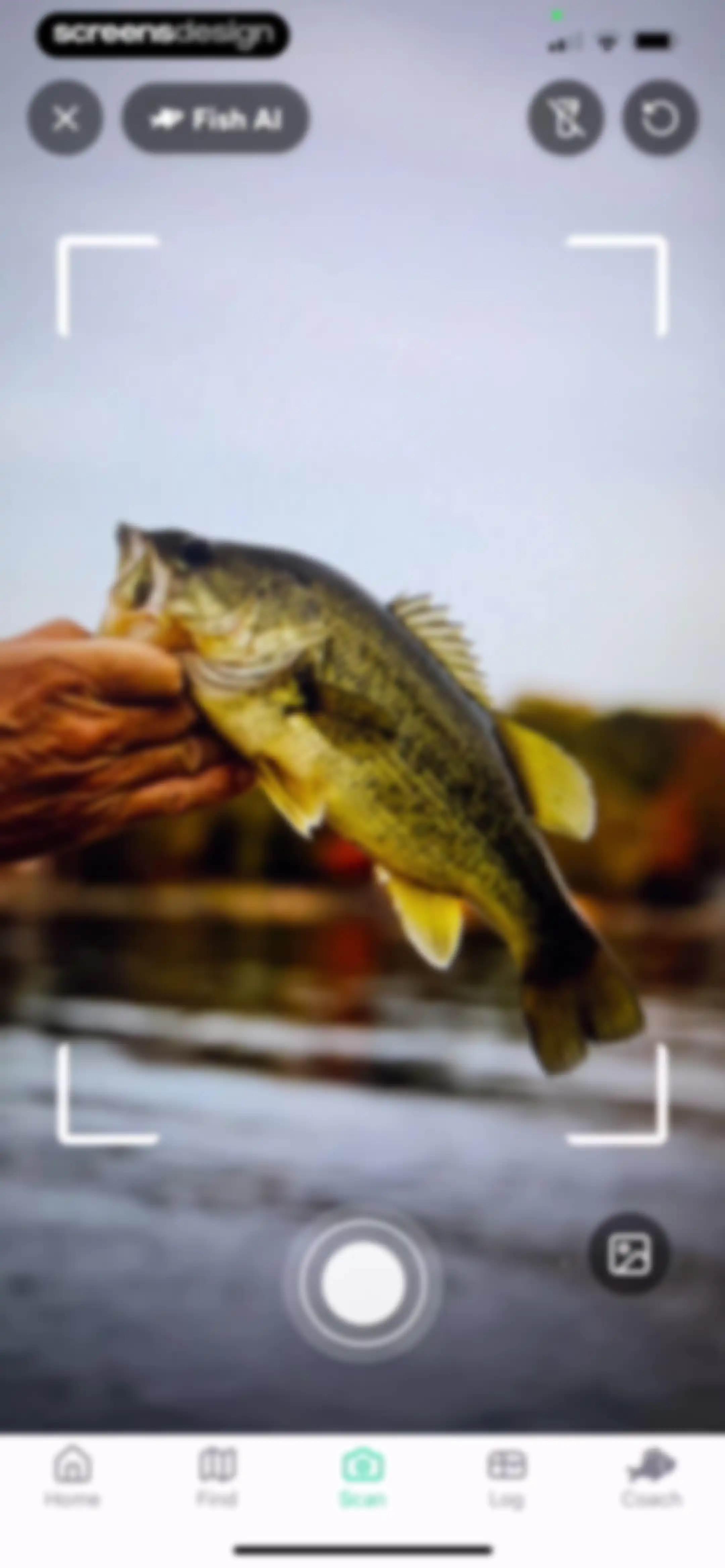 Fish AI - AI Fishing App screen 44