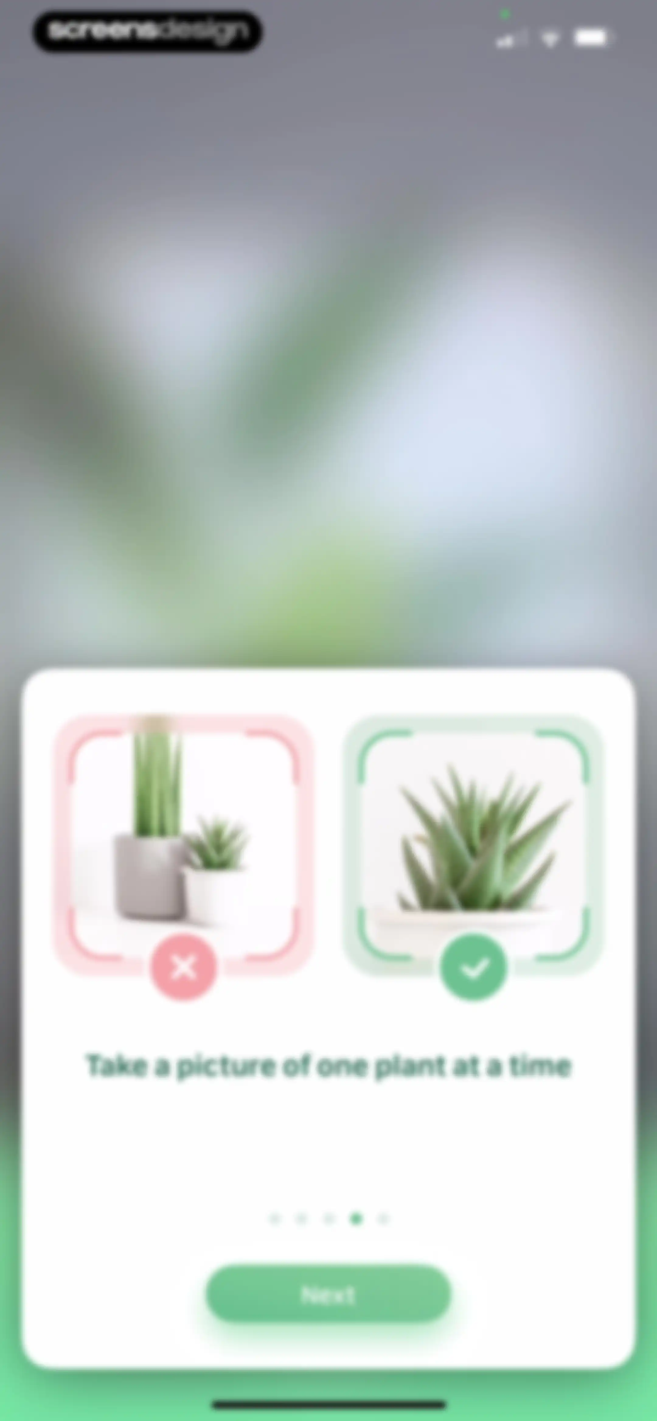 Blossom - Plant Care Guide screen 96