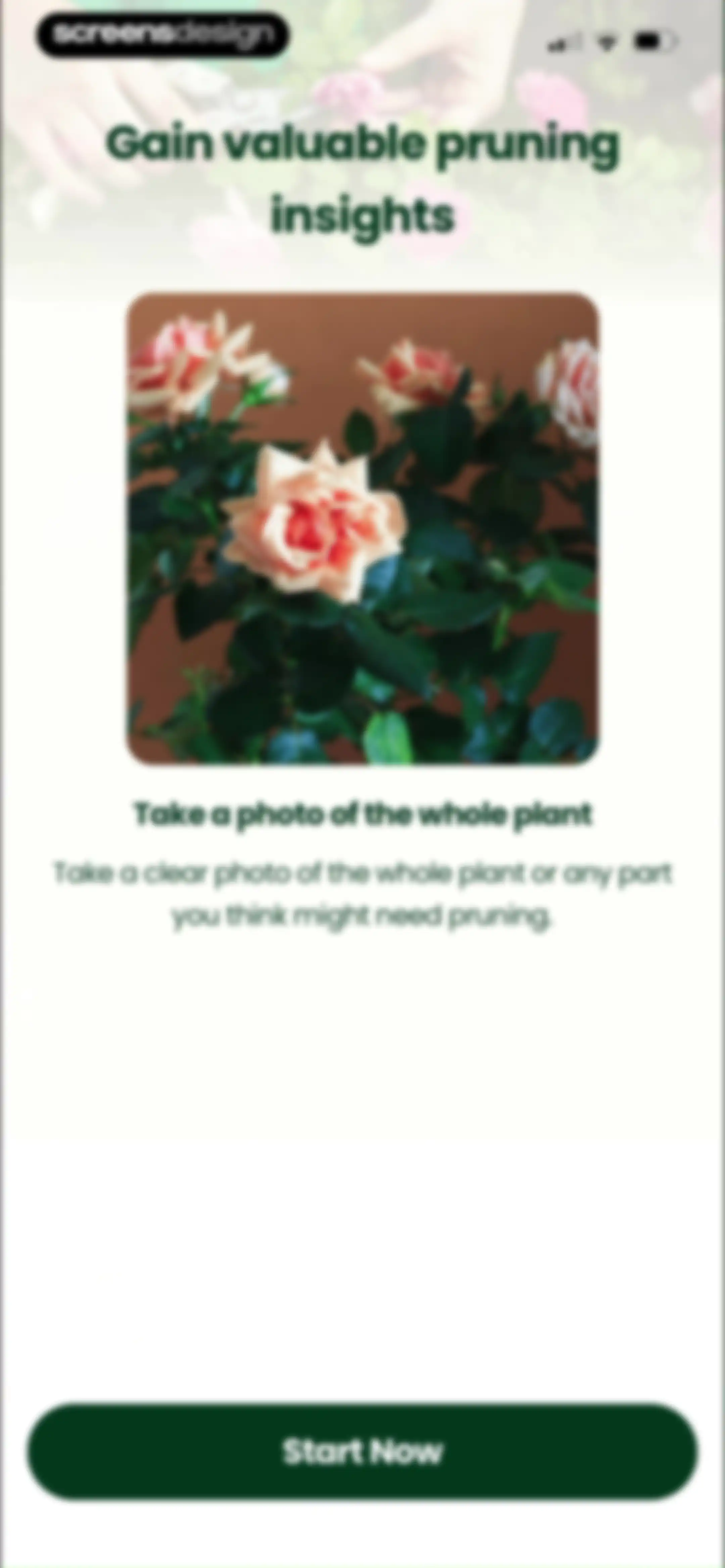 PlantAI: Identifier & Diagnose screen 80